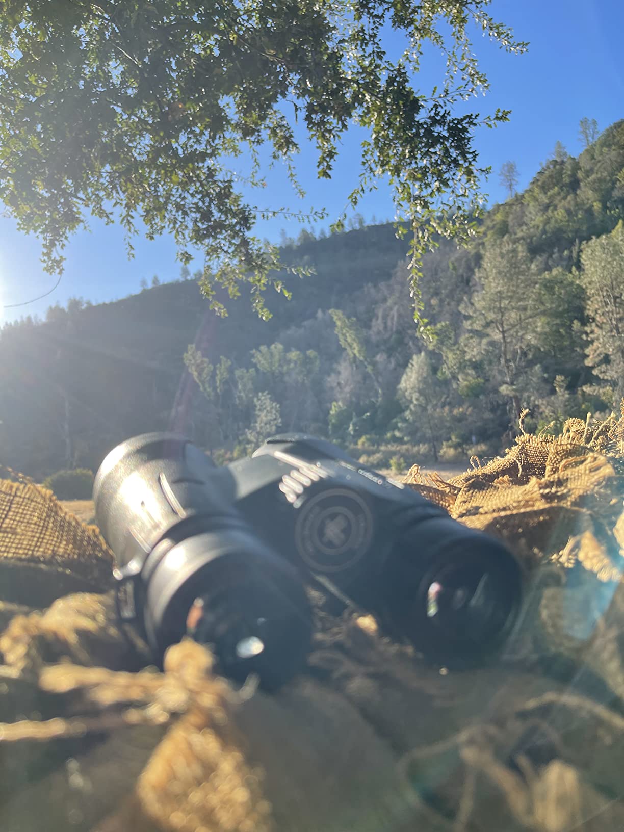 Vortex Viper HD Roof Prism Binoculars 12x50 | HD Optics, XR Lens Coatings, Tripod Adaptable, Locking Diopter, Included GlassPak - Unlimited, Unconditional Warranty customer photo 1