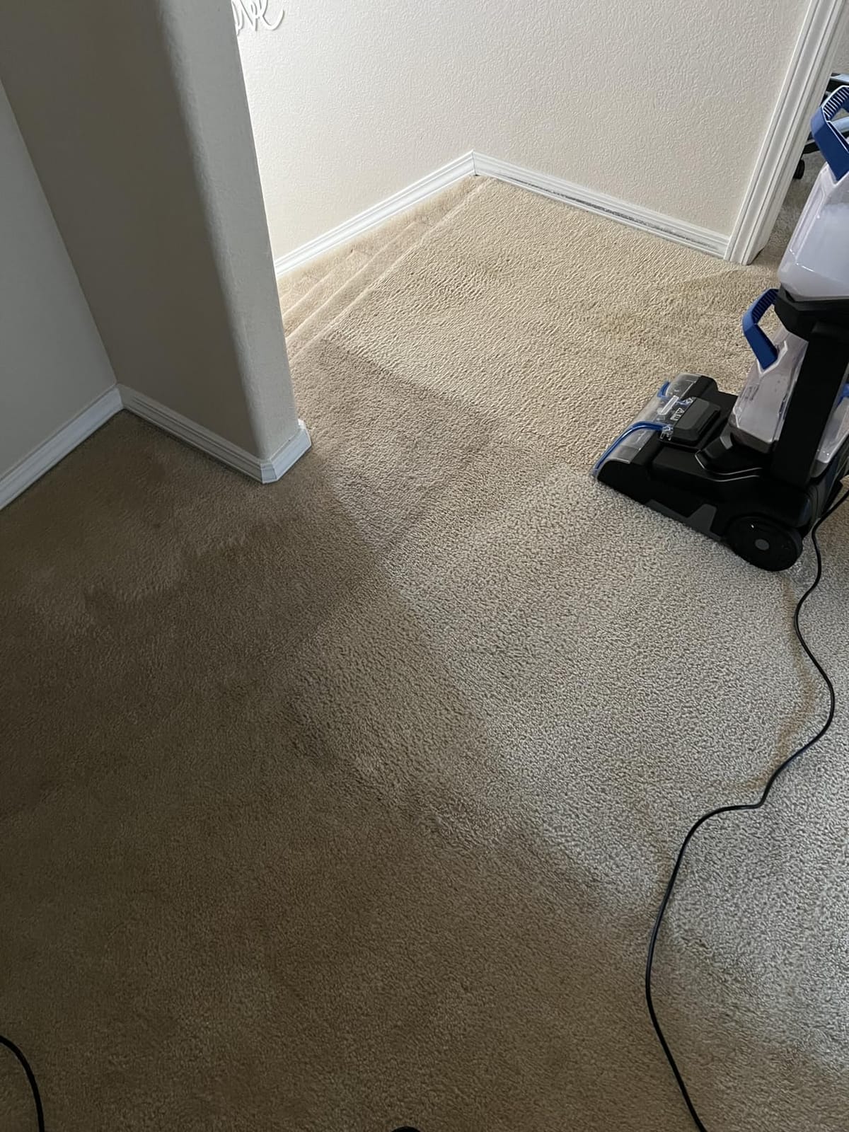 Bissell PET PRO OXY Urine Eliminator with Febreze Carpet Deep Clean Solution, with StainProtect Technology, for use in leading upright carpet cleaners, 48oz customer photo 1
