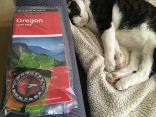 TurnOnSport Orienteering Compass - Advanced Scout Compass for Hiking, Camping, and Backpacking - Best Survival Gifts for Kids customer photo 1