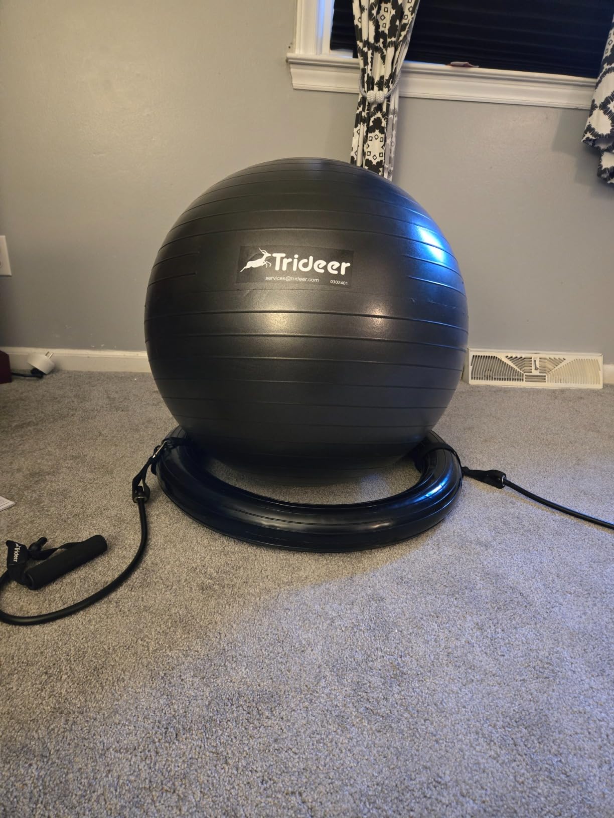 Trideer Exercise Ball Chair with Bands, Stability Ball for Office & Fitness | Combines a stability ball, secure base and resistance bands for active sitting, stretching and full-body workouts customer photo 1