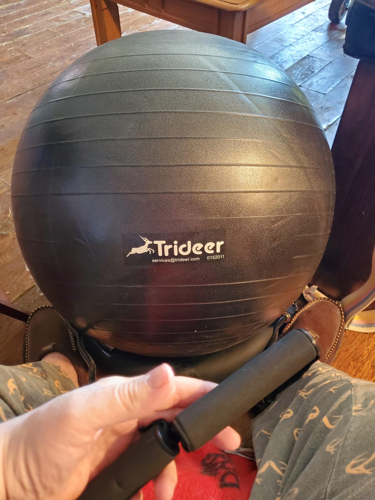 Trideer Exercise Ball Chair with Bands, Stability Ball for Office & Fitness | Combines a stability ball, secure base and resistance bands for active sitting, stretching and full-body workouts customer photo 2