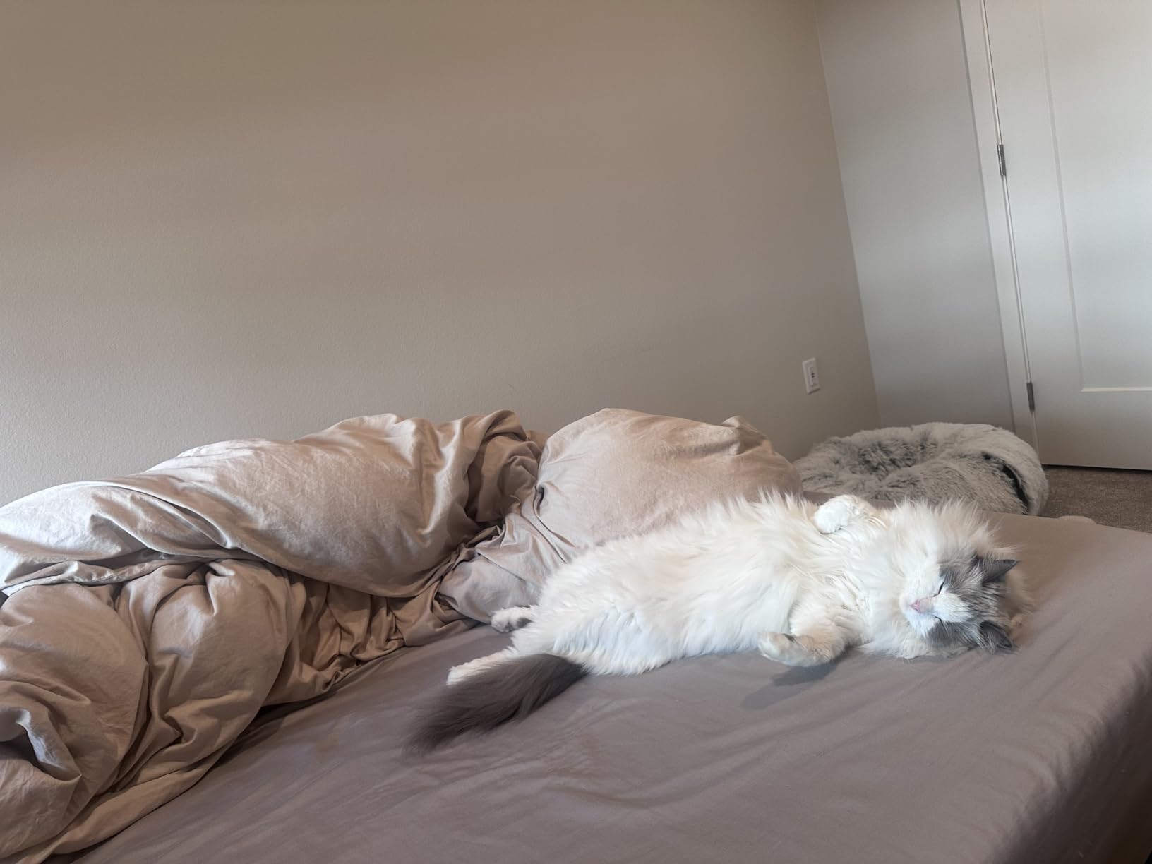 Brooklinen Sateen Duvet Cover Hotel-Quality Luxury - King/Cali King, White customer photo 1