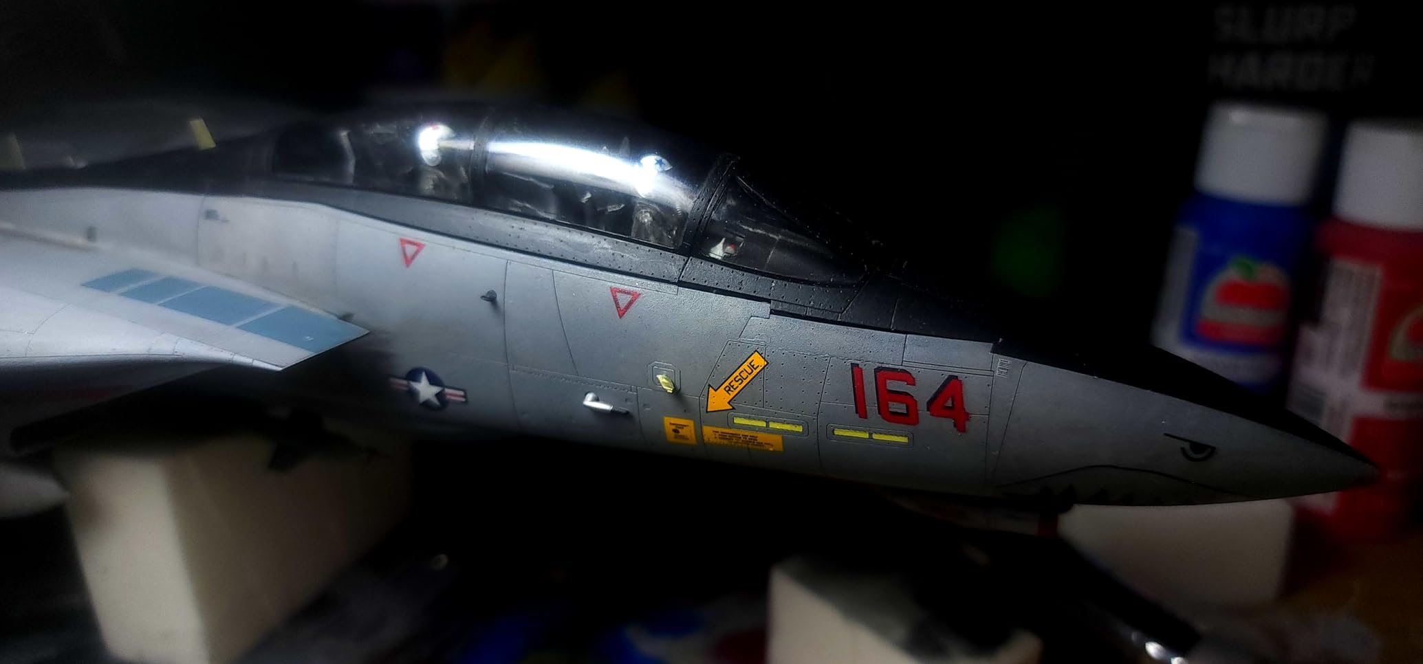 Tamiya 61118 1/48 Grumman F-14D Tomcat Plastic Model Airplane Kit customer photo 1