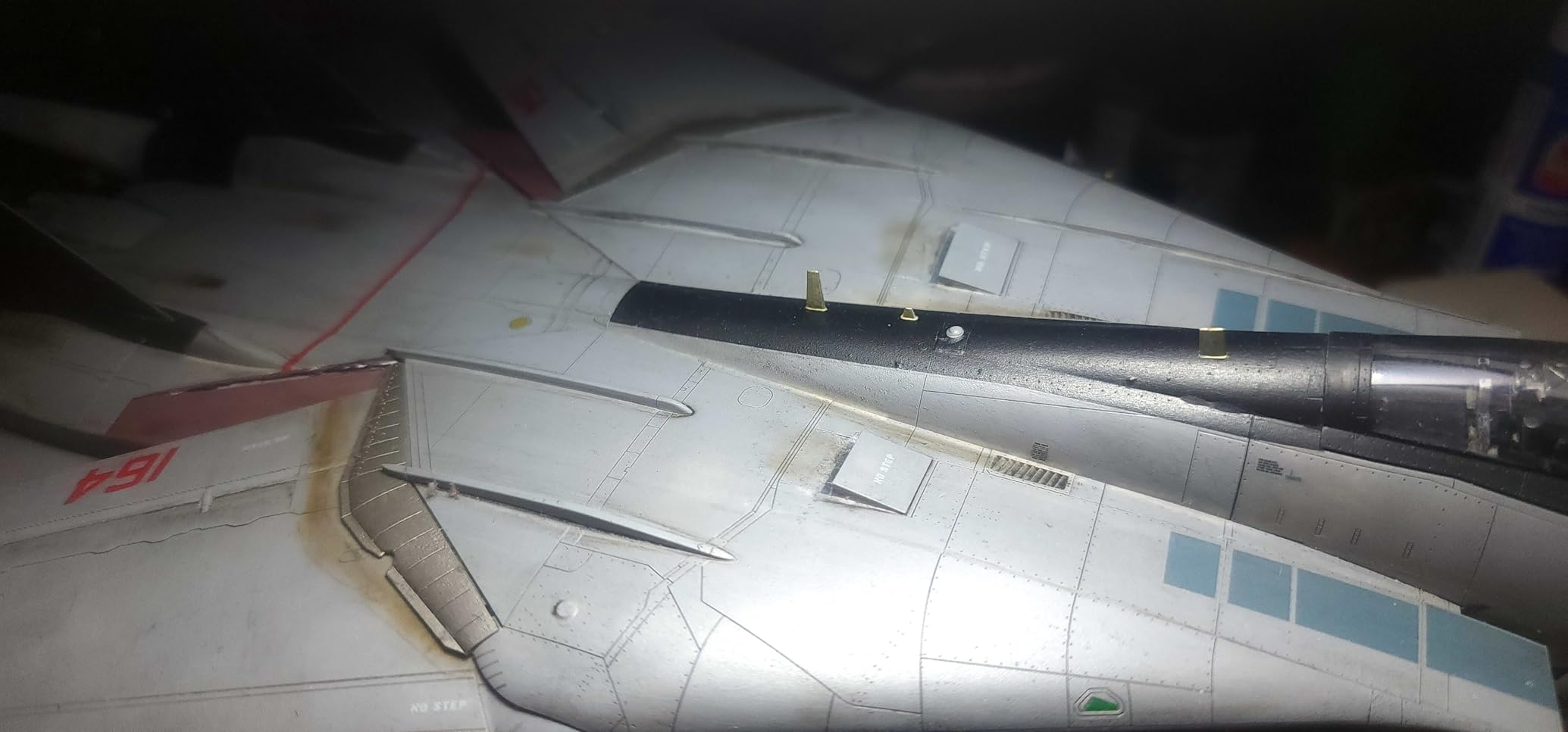Tamiya 61118 1/48 Grumman F-14D Tomcat Plastic Model Airplane Kit customer photo 2