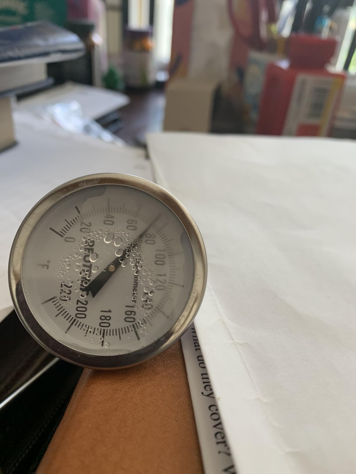 REOTEMP K82-3 Soil Thermometer, 5 Inch Stem, Waterproof, for Seeding and Transplanting Garden Temperature Measurement, 0-220 Fahrenheit customer photo 2