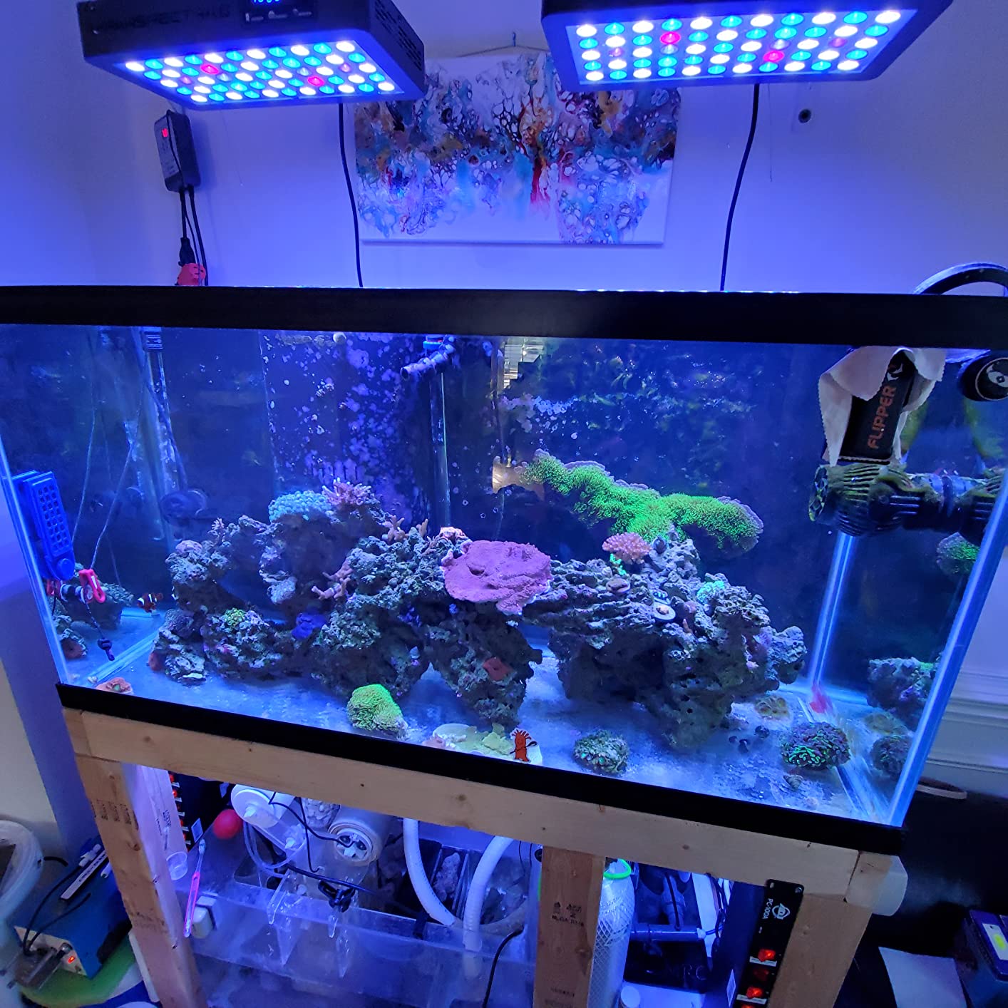 Jebao SOW Wave Maker Flow Pump with Controller for Marine Reef Aquarium (SOW-8) customer photo 2