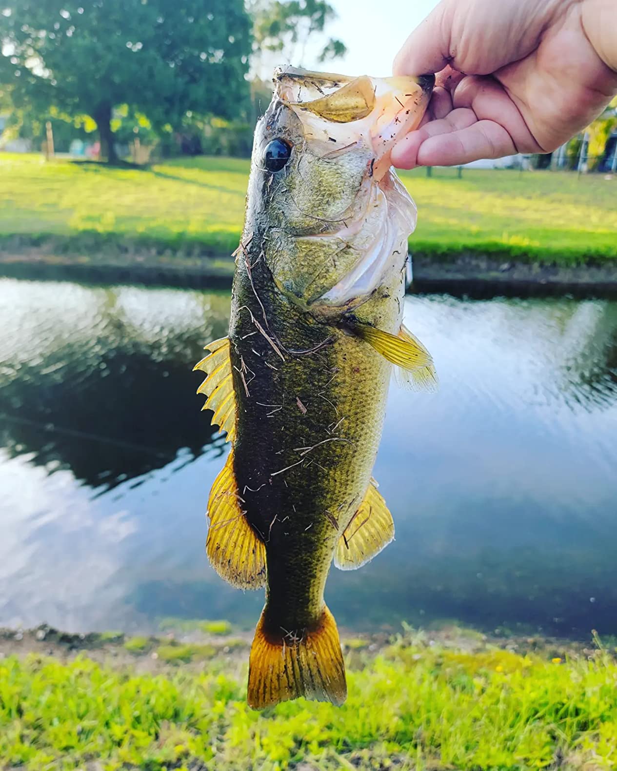 Tournament Pro LFS Speed Spool Baitcast Fishing Reel, Aluminum Frame, Premium 11 Stainless Steel Ball Bearings customer photo 1