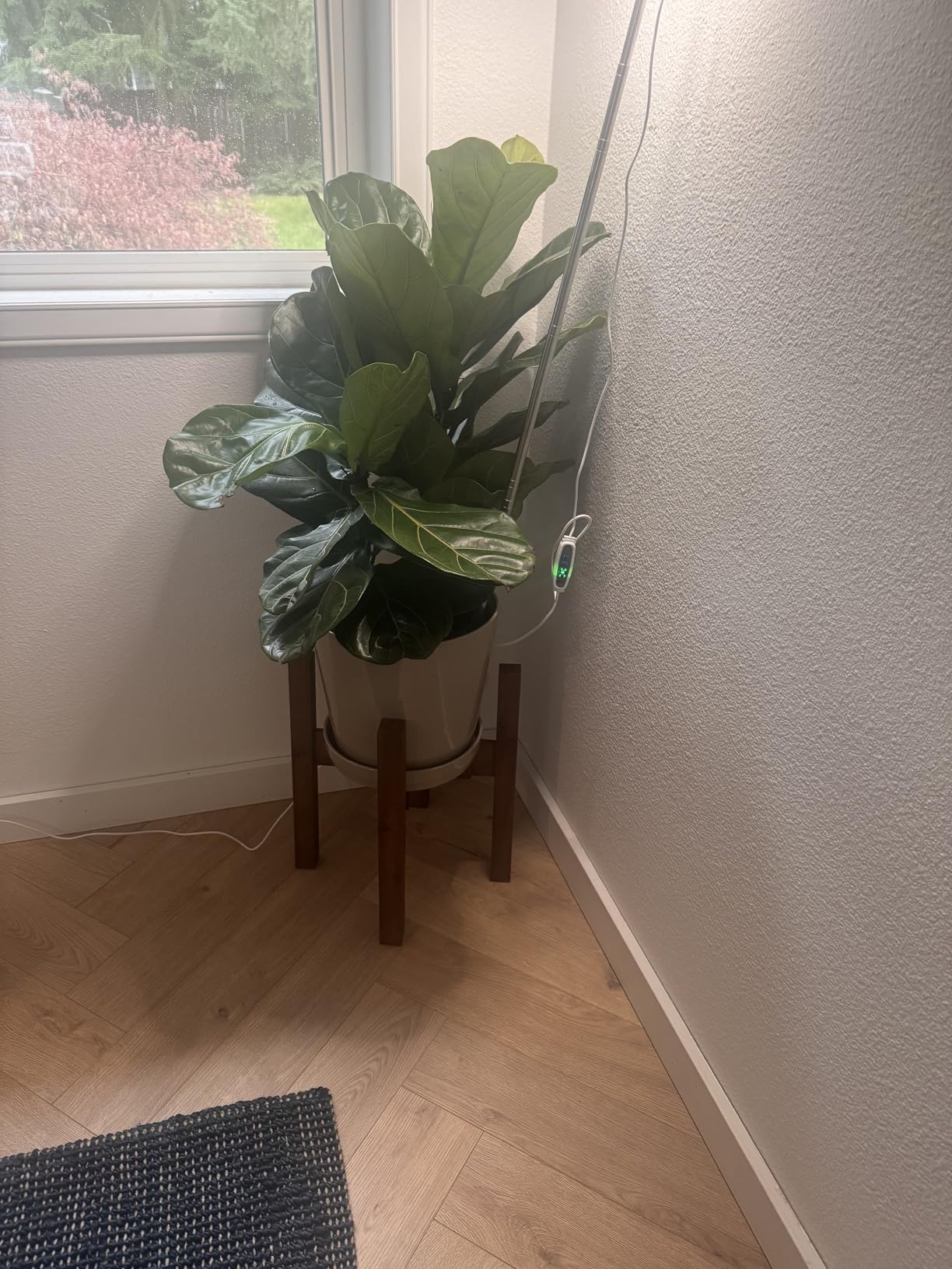 Sophia Mills Mid Century Plant Stand - Solid Wood Item Stand Handmade with Acacia - Fits Medium & Large Pots Sizes 8 to 12 inches (Not Included) (Adjustable Width: 8-12 inches, Dark Brown) customer photo 1