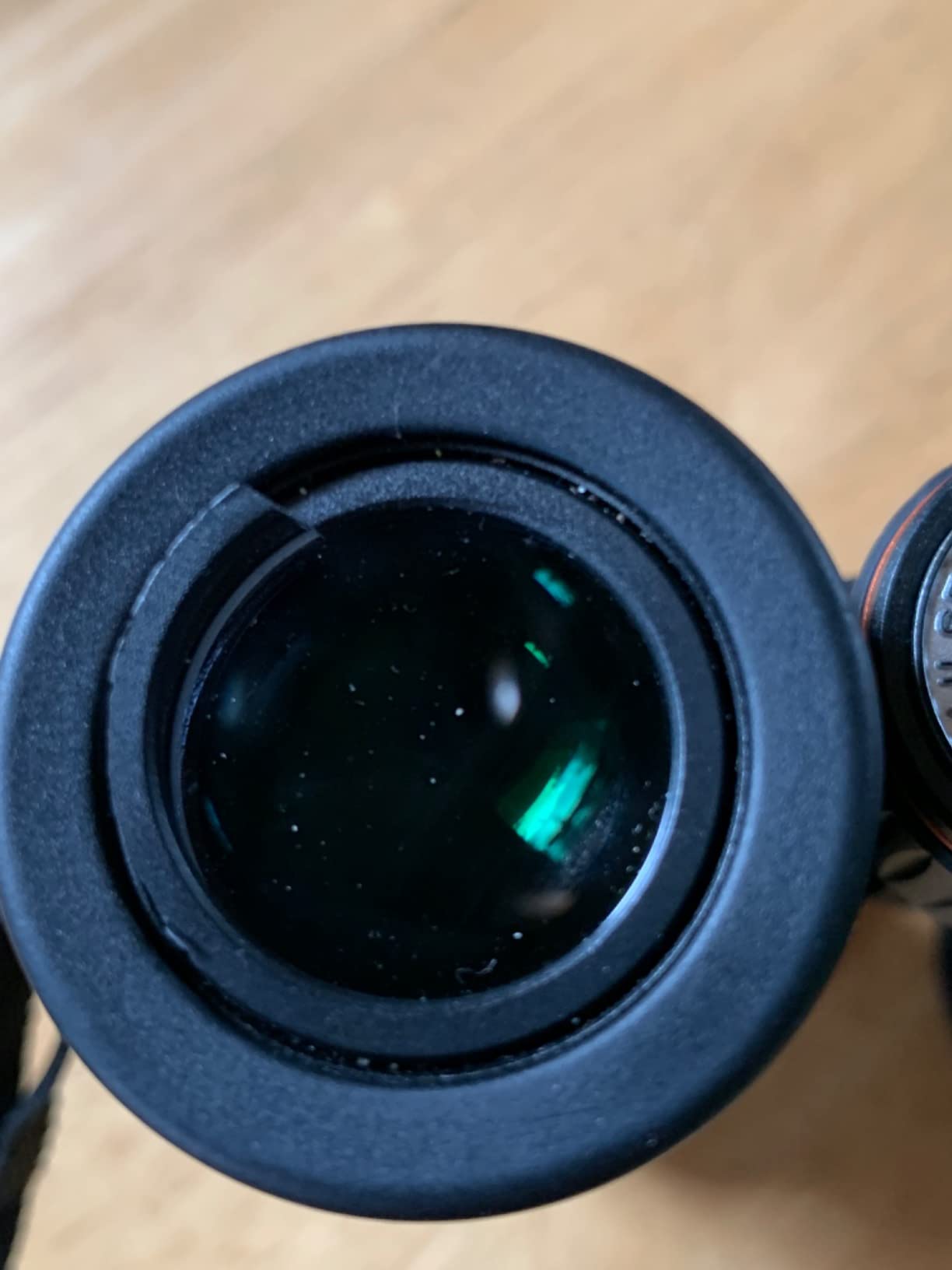 Celestron TrailSeeker ED 8x42 Binoculars for Birding & Nature - ED Glass | ED Glass for Sharp Detail, Phase & Dielectric-Coated BaK-4 Prisms, Fully Broadband Multi-Coated, Magnesium Alloy Body customer photo 2
