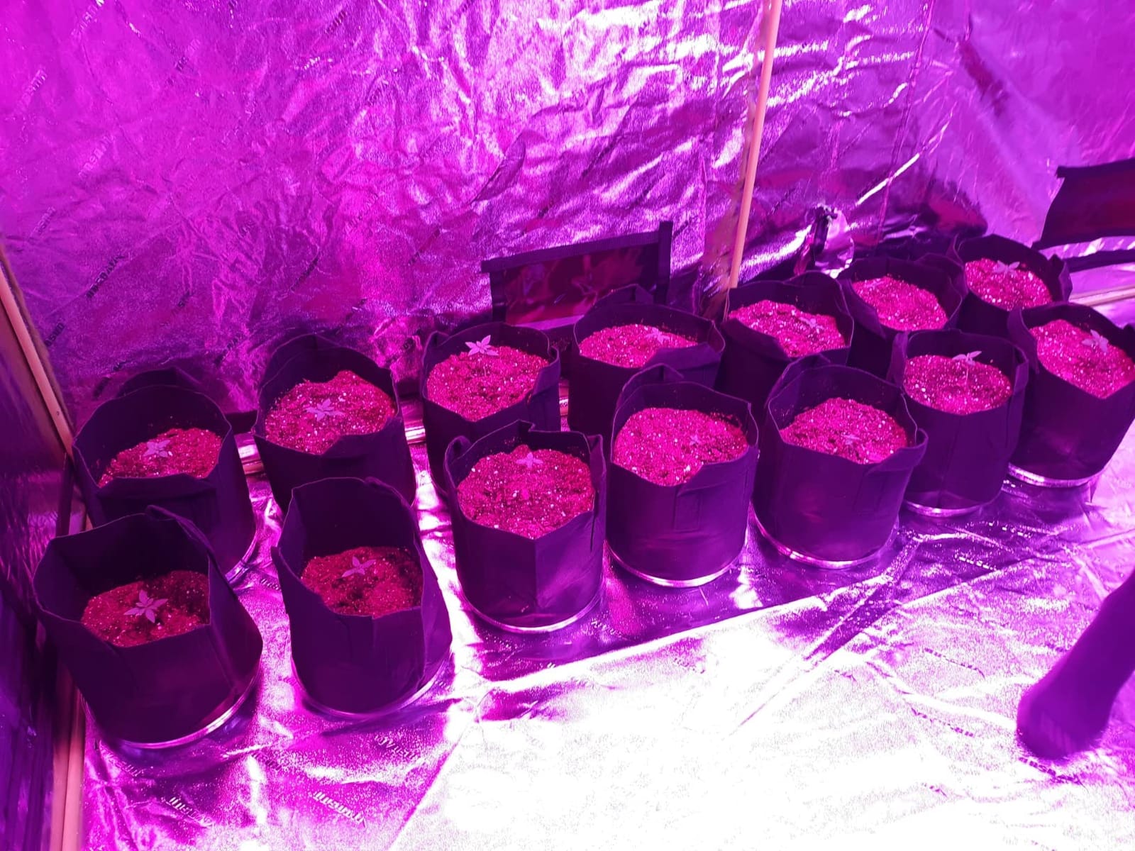 VIVOSUN Larger 4X8 Grow Tent 108