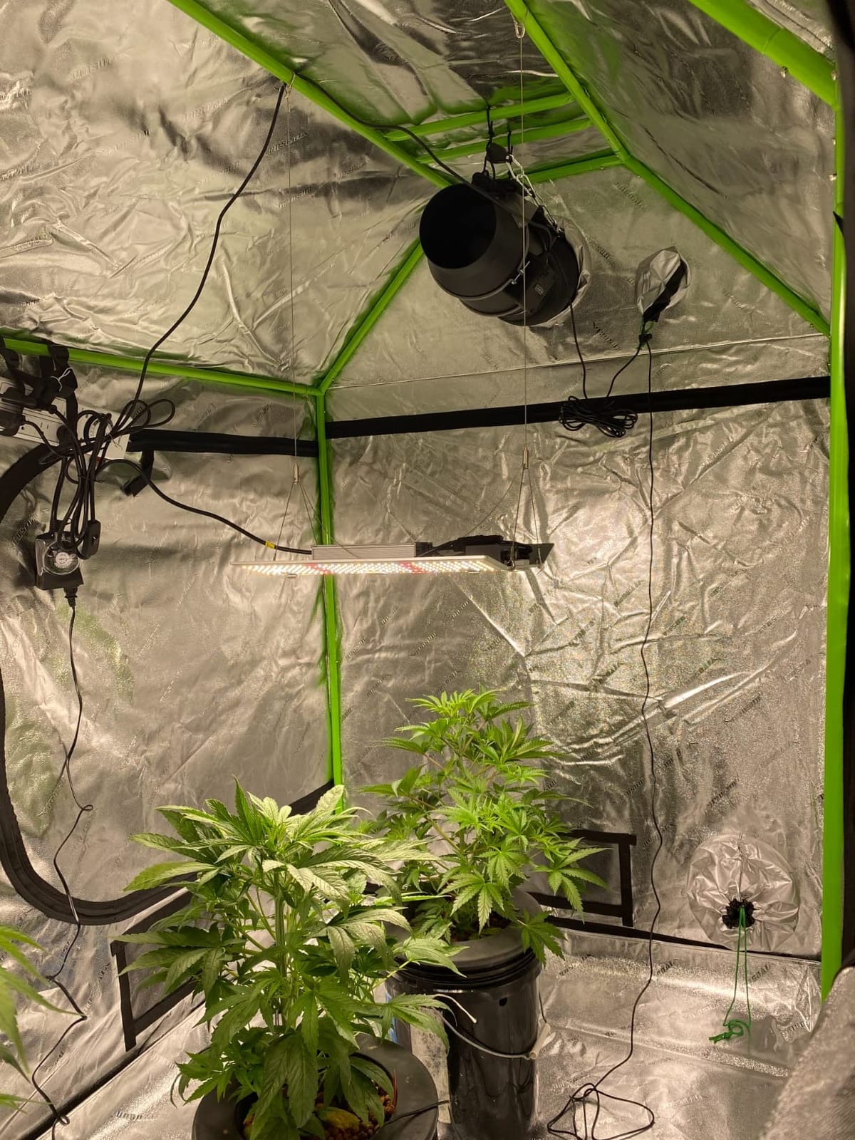 VIVOSUN Larger 4X8 Grow Tent 108