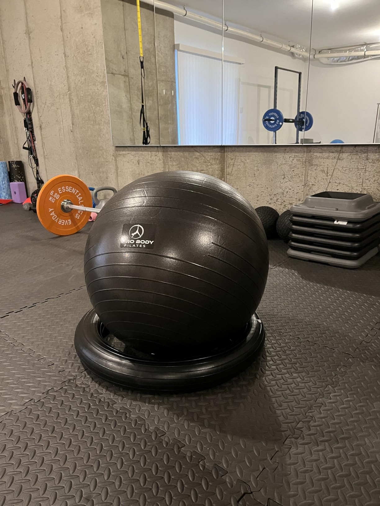 ProBody Pilates Yoga Ball Chair for Office, with Base | Stability Ring, 880 lb Anti-Burst, 65/75 cm Exercise Ball Chair, Home Office & PT Use, Pump customer photo 1