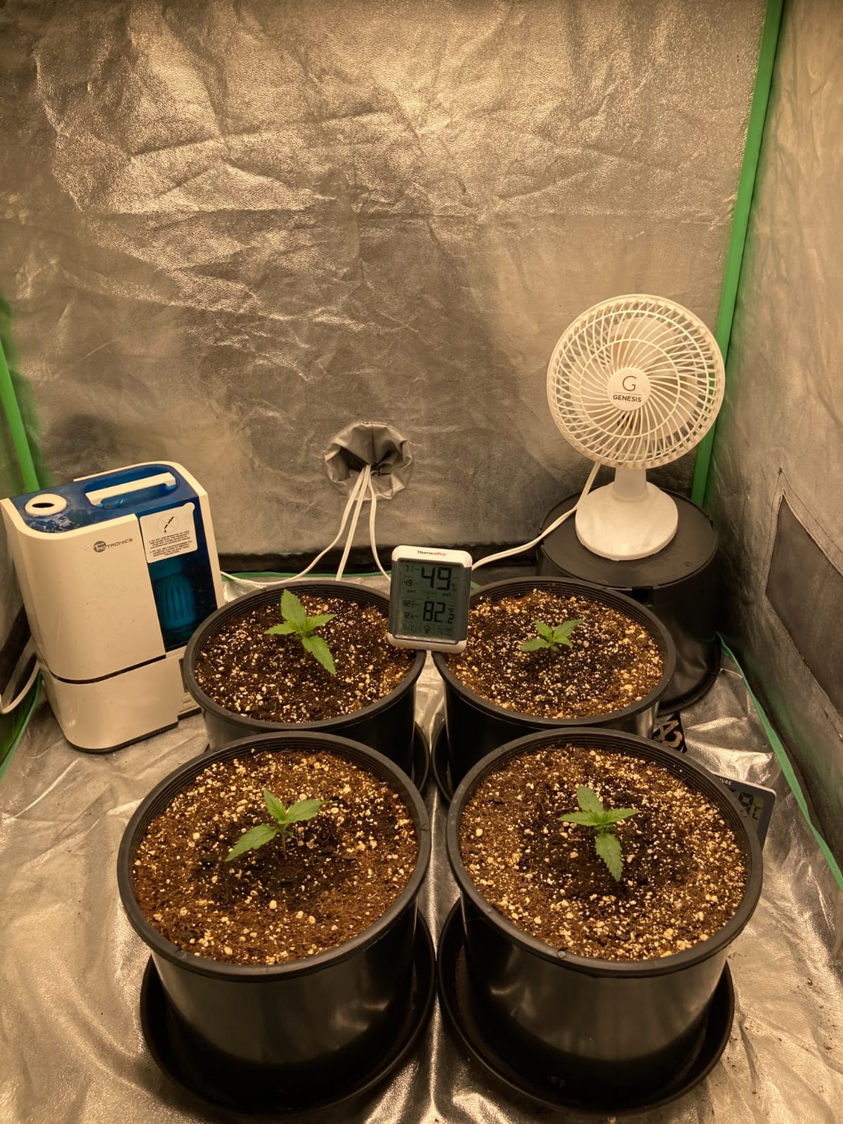 MARS HYDRO 300W TSW2000 Led Grow Light for Indoor Plants Seeding Veg Bloom | with Dimmable Daisy Chain Full Spectrum High PPFD Patented Reflector Growing Lamps in 3x3/4x4ft Grow Tent customer photo 2