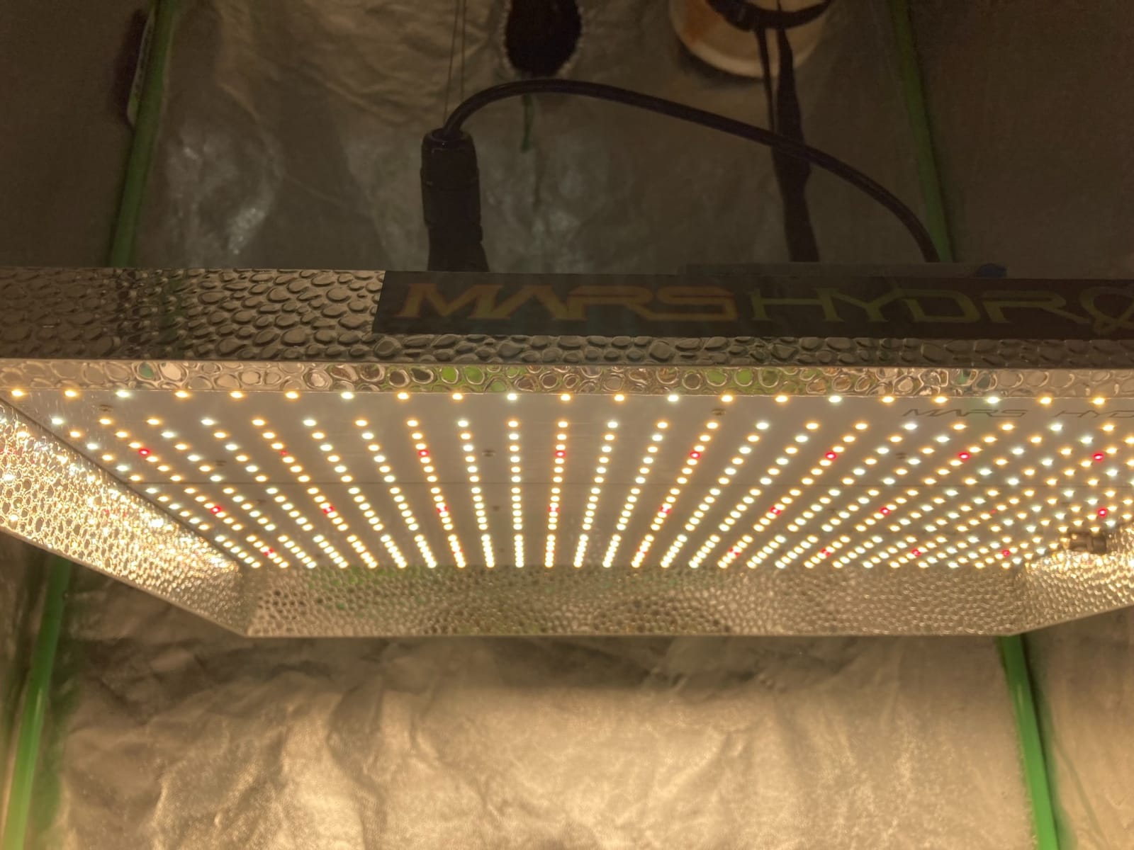 MARS HYDRO 300W TSL2000 Led Grow Lights for Indoor Plants | with Dimmable Daisy Chain Full Spectrum Patented Reflector Growing Lamps Seed Starting Veg Bloom in 4x2/5x3ft Grow Tent customer photo 2