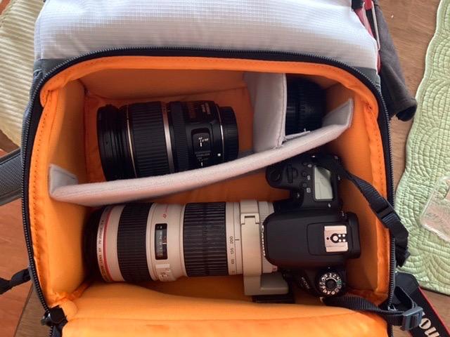 Lowepro LP37238-PWW Truckee BP 250 LX Outdoor Camera Backpack, Fits 15 inch Tablet, for Compact DSLR/Mirrorless, for Sony, Canon, Nikon, 1-2 Lenses, Gimbal, Video Drone, DJI, Osmo, Mavic, Light Grey customer photo 1
