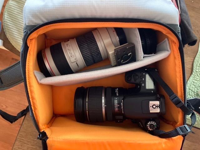 Lowepro LP37238-PWW Truckee BP 250 LX Outdoor Camera Backpack, Fits 15 inch Tablet, for Compact DSLR/Mirrorless, for Sony, Canon, Nikon, 1-2 Lenses, Gimbal, Video Drone, DJI, Osmo, Mavic, Light Grey customer photo 2
