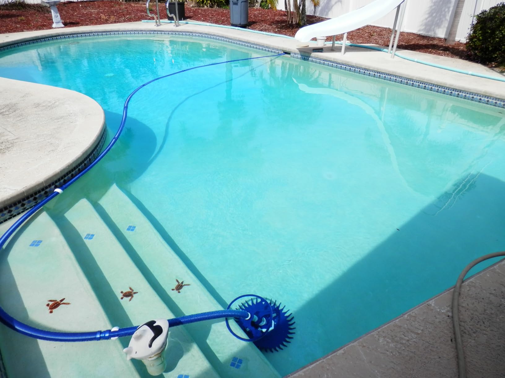 VINGLI Pool Cleaner, Automatic Wall-Climbing Pool Vacuum -Navy Blue&White | Pool Creepy Crawler Vacuum with 33FT Hoses, Suction Pool Cleaner for inground pools, Requires ≥3/4HP pump customer photo 1