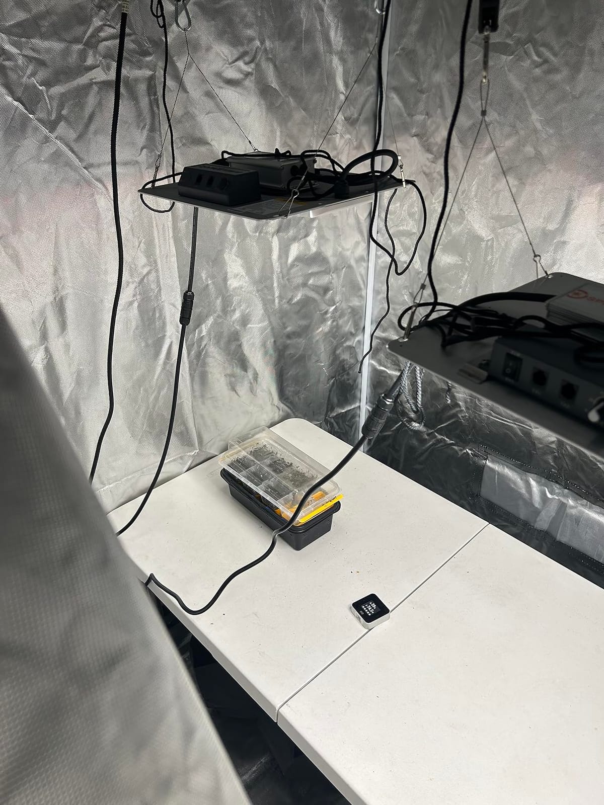 SF2000 LED Grow Lights for Indoor Plants in 2x4 Grow Tent | 200W Dimmable Full Spectrum Grow Light, New-Gen High-Efficiency Diodes 2.7 PPE System for Seed Starting, Vegetables & Bloom customer photo 1