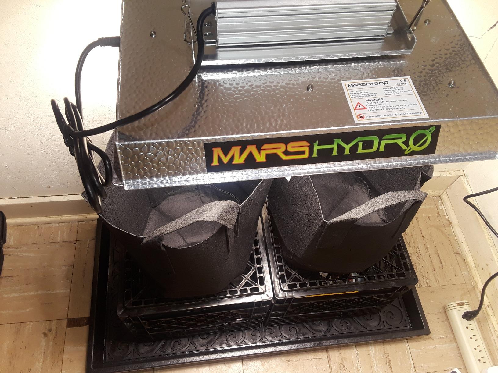 MARS HYDRO 100W TS600 2x2ft Dimmable LED Grow Lights for Indoor Plants | Patented Reflective Hood Updated Diode Layout Even Full Spectrum Coverage for Seedling, Veg, & Bloom in 2x2/3x3 Grow Tent customer photo 1
