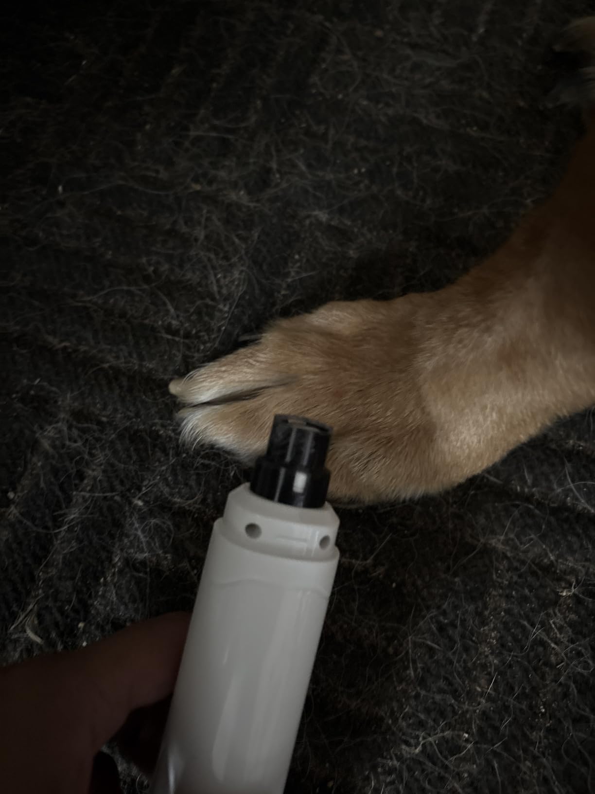 Dog Nail Grinder Upgraded - Professional 2-Speed Whisper-Quiet Electric Pet Nail Trimmer Painless Paws Grooming & Smoothing for Small Medium Large Dogs & Cats (Dark Blue) customer photo 2