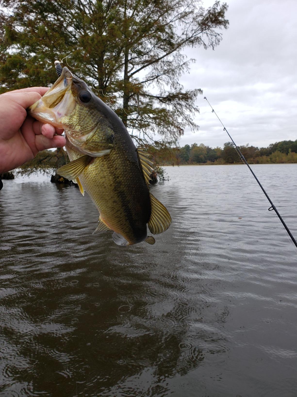 Pflueger Trion Spinning Reel customer photo 1