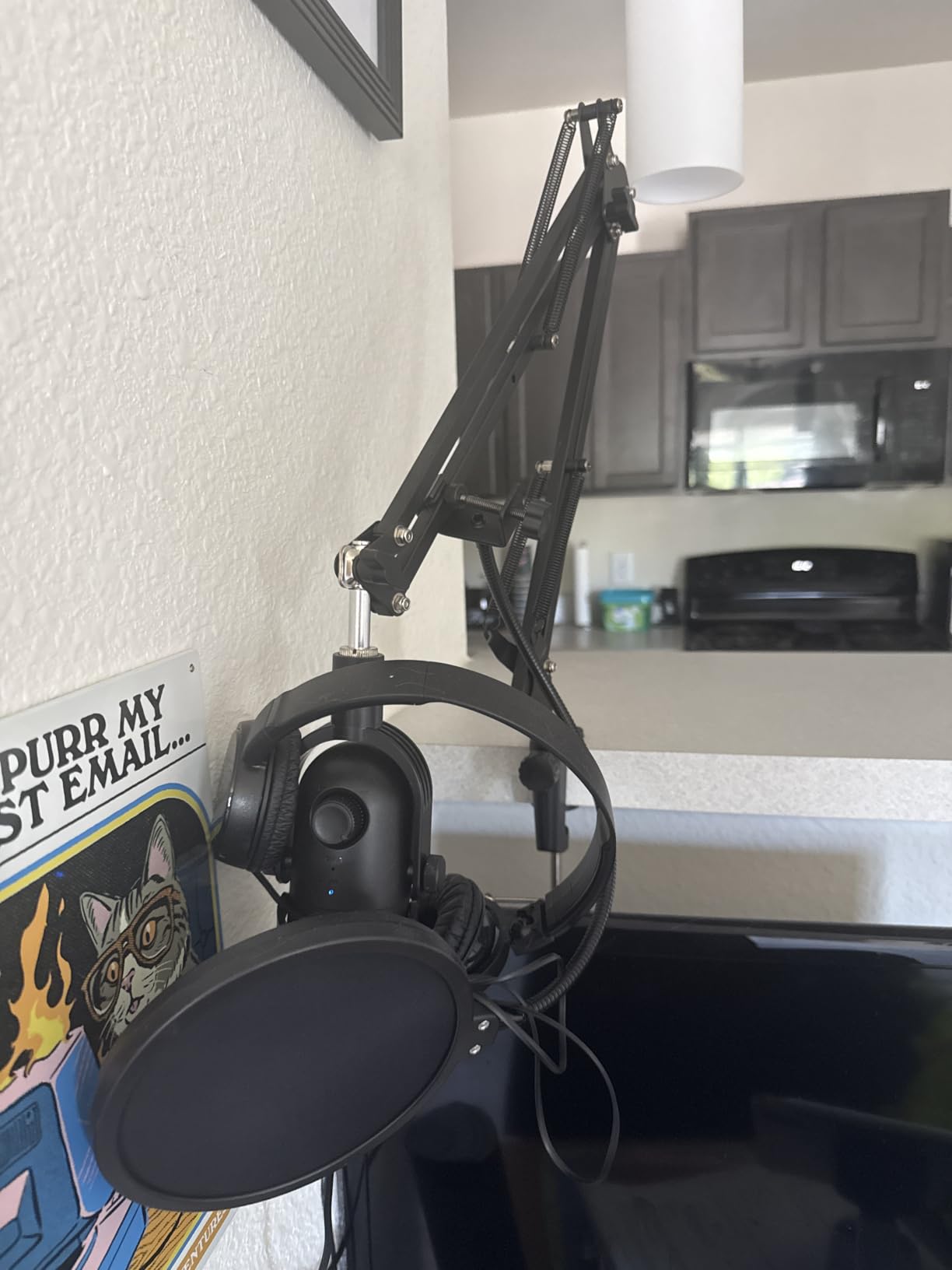InnoGear Microphone Stand Mic Boom Arm for Blue Yeti HyperX QuadCast S SoloCast Snowball Fifine K669B and other Mic, with Shock Mount Windscreen Pop Filter Mic Clip Holder Cable Ties, Medium customer photo 1