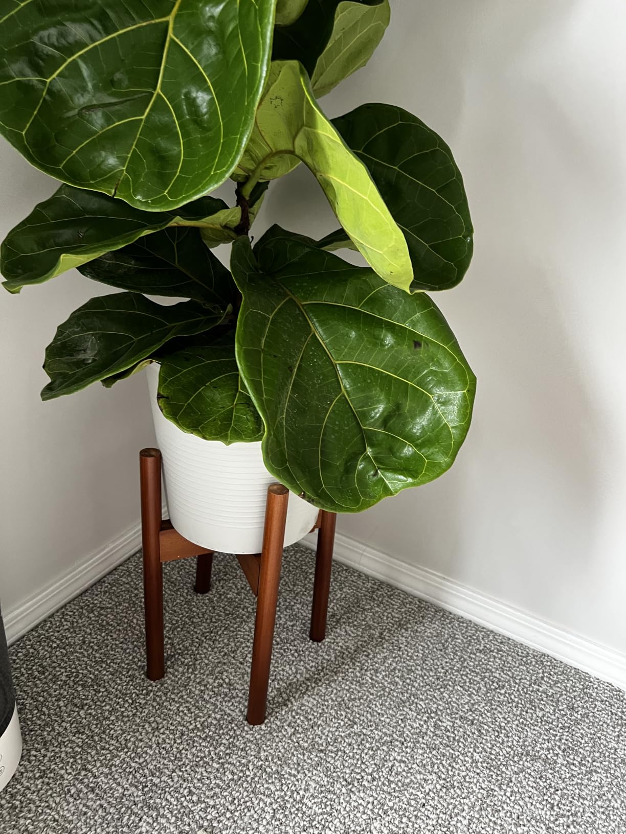 MUDEELA Plant Stand for Indoor, Bamboo Material, Dark Brown, 14.5 Inch Tall | Adjustable Width Fits 8-12 Inch Pot, Mid-century Modern Style, Single Tier Small Floor Plant Holder, 1 Pack, Without Pot customer photo 1