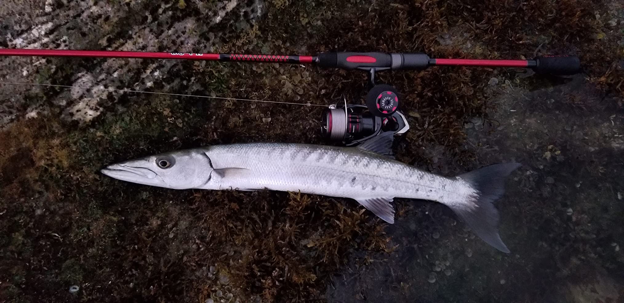 Ugly Stik Carbon Spinning Fishing Rod customer photo 2