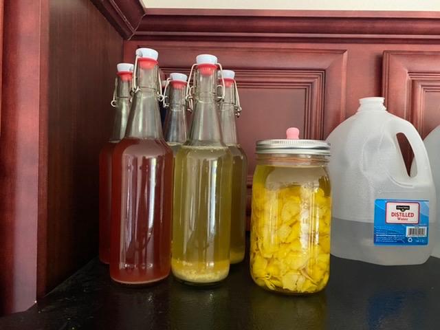 1 Gallon Jun Kombucha Starter Kit - Includes USDA Organic Jun SCOBY & Starter Tea + Ingredients To Start Brewing Your Own Jun Tea * Jar Not Included * customer photo 2
