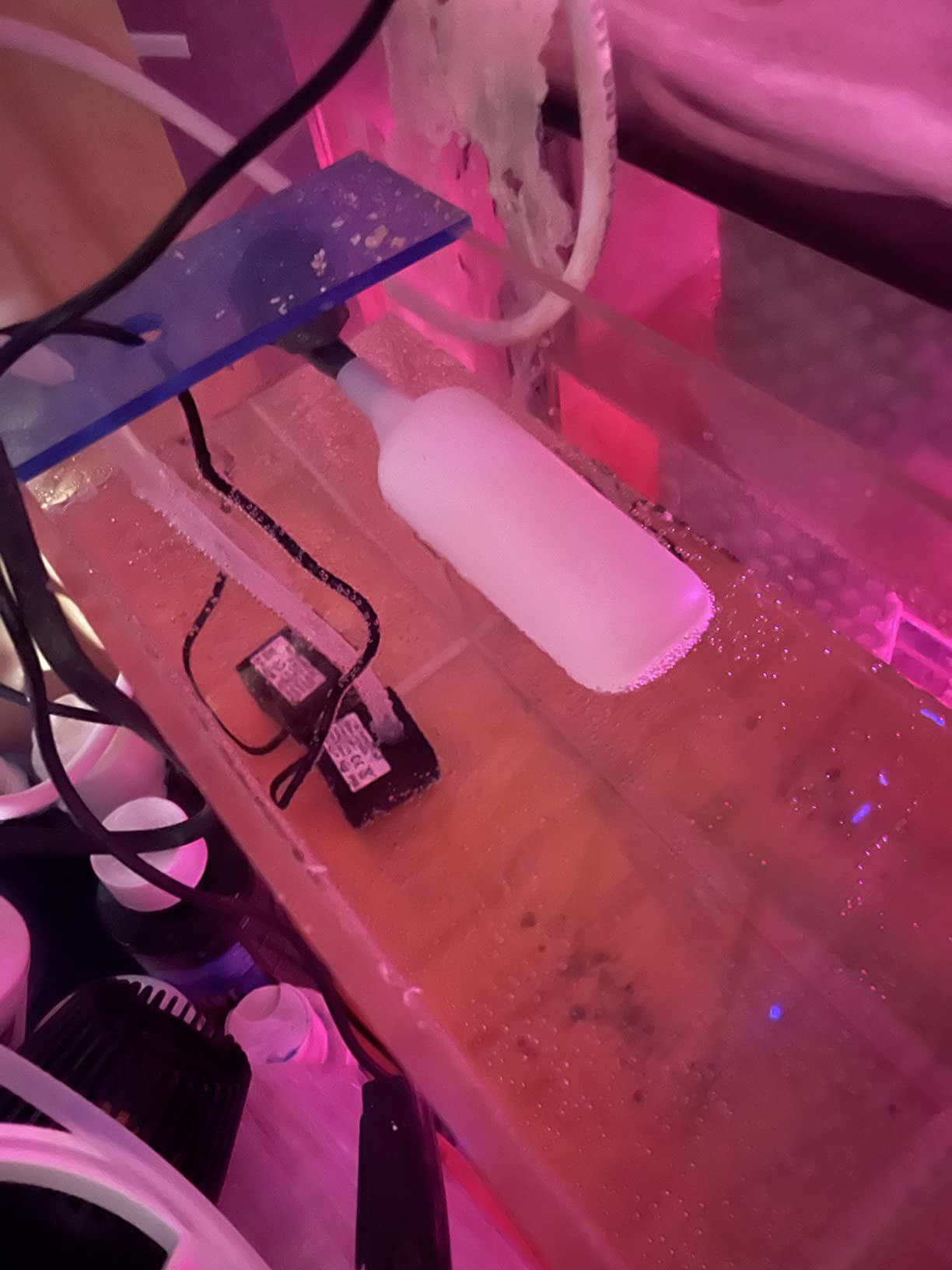 DIGITEN Smart Auto Top Off System, Aquarium ATO with Pump customer photo 1