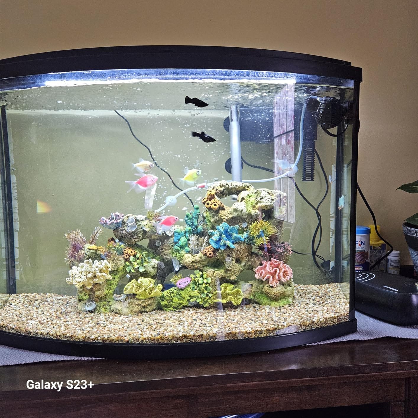 FREESEA Magnetic Wave Maker for Aquarium: 1s Mounts on 15mm Glass Secure | 6W 1050GPH 180 Degree Adjustable Powerful Head Help Eliminate Dead Spots - Improve Water Quality for 40-100 Gallon Fish Tank customer photo 1