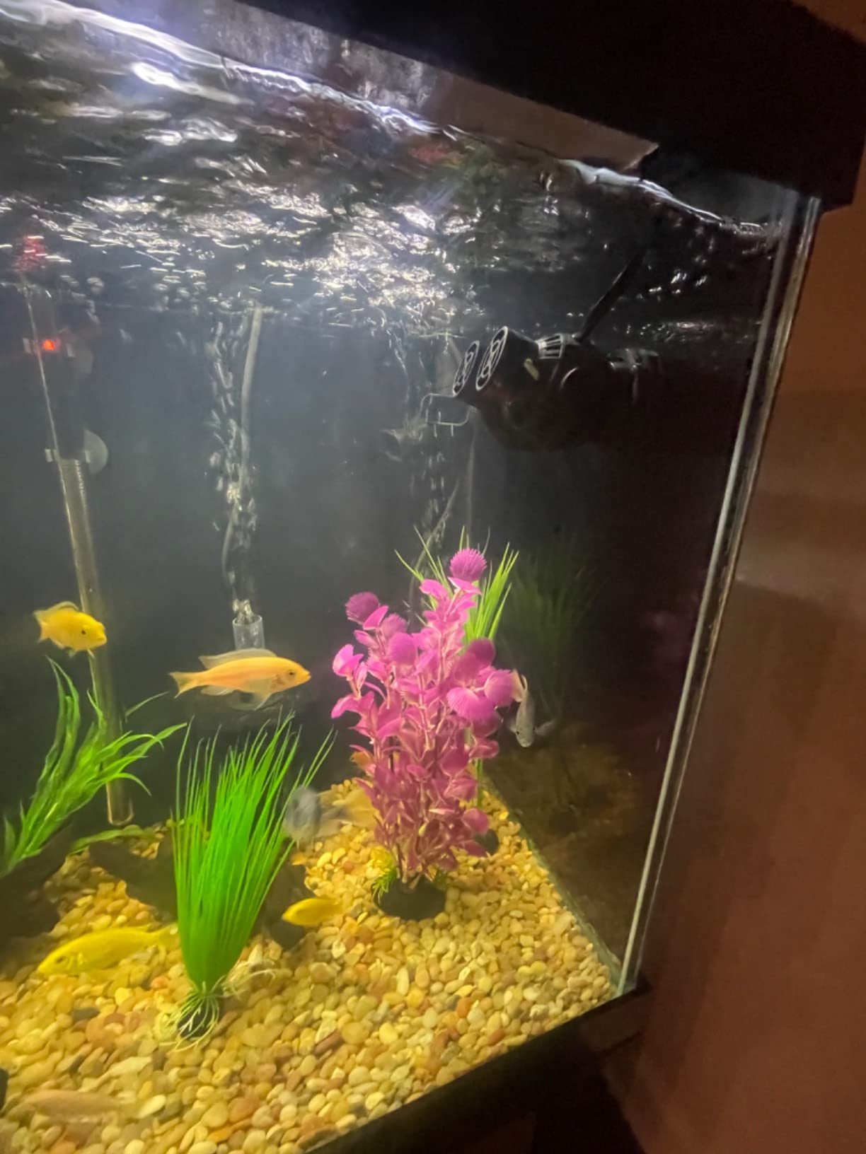 FREESEA Magnetic Wave Maker for Aquarium: 1s Mounts on 15mm Glass Secure | 8W 1600GPH 180°Adjustable Dual Heads Eliminate Dead Spots Improve Water Quality for 55-125 Gallon Fish Tank customer photo 1