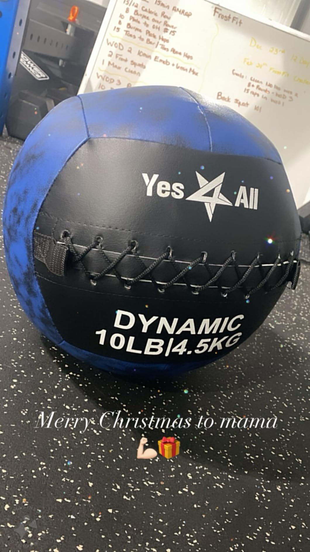 Yes4All Wall Ball, Soft Leather Weighted Iron Sand Ball for Dynamic Multifunctional Exercise, 6 LB - 30 LB customer photo 1