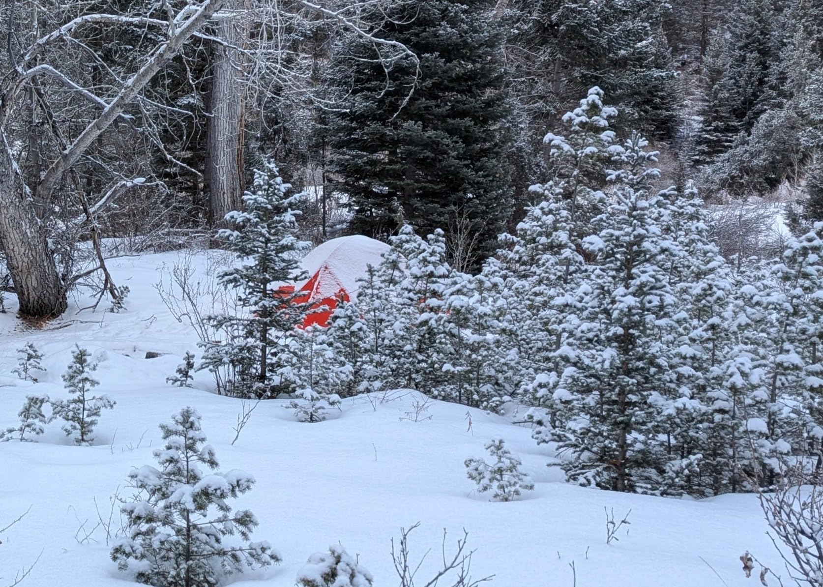 MSR Access 3-Person Lightweight 4-Season Tent customer photo 2