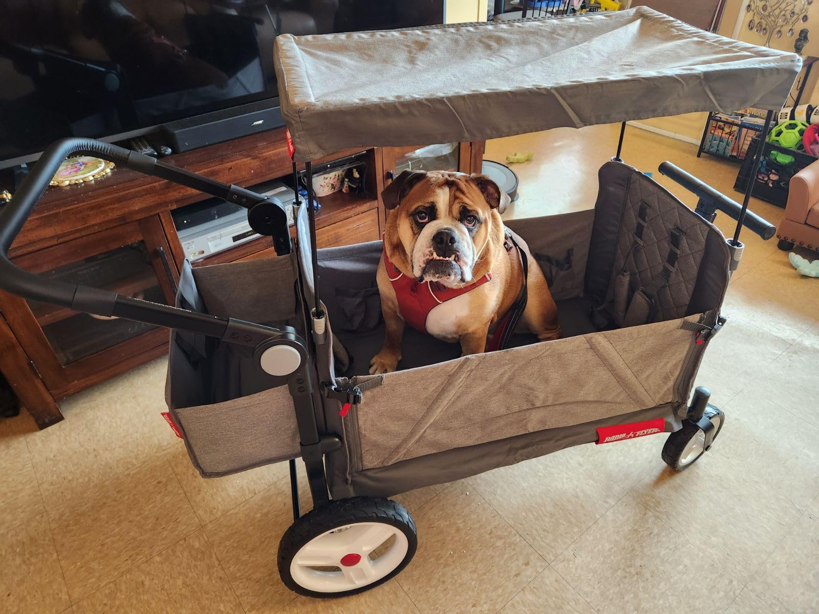 Radio Flyer Odyssey Collapsible Stroll N Wagon with Storage Bag, Light Gray customer photo 1