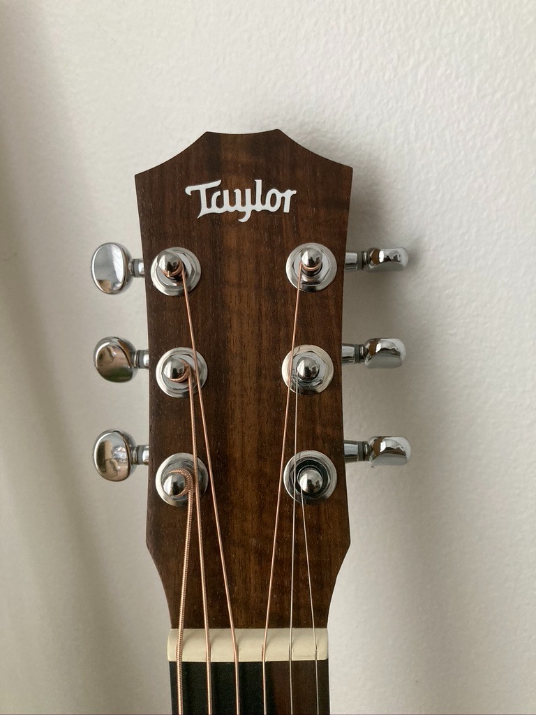 Taylor Baby Taylor BT1 Walnut Acoustic Guitar - Natural Sitka Spruce customer photo 1