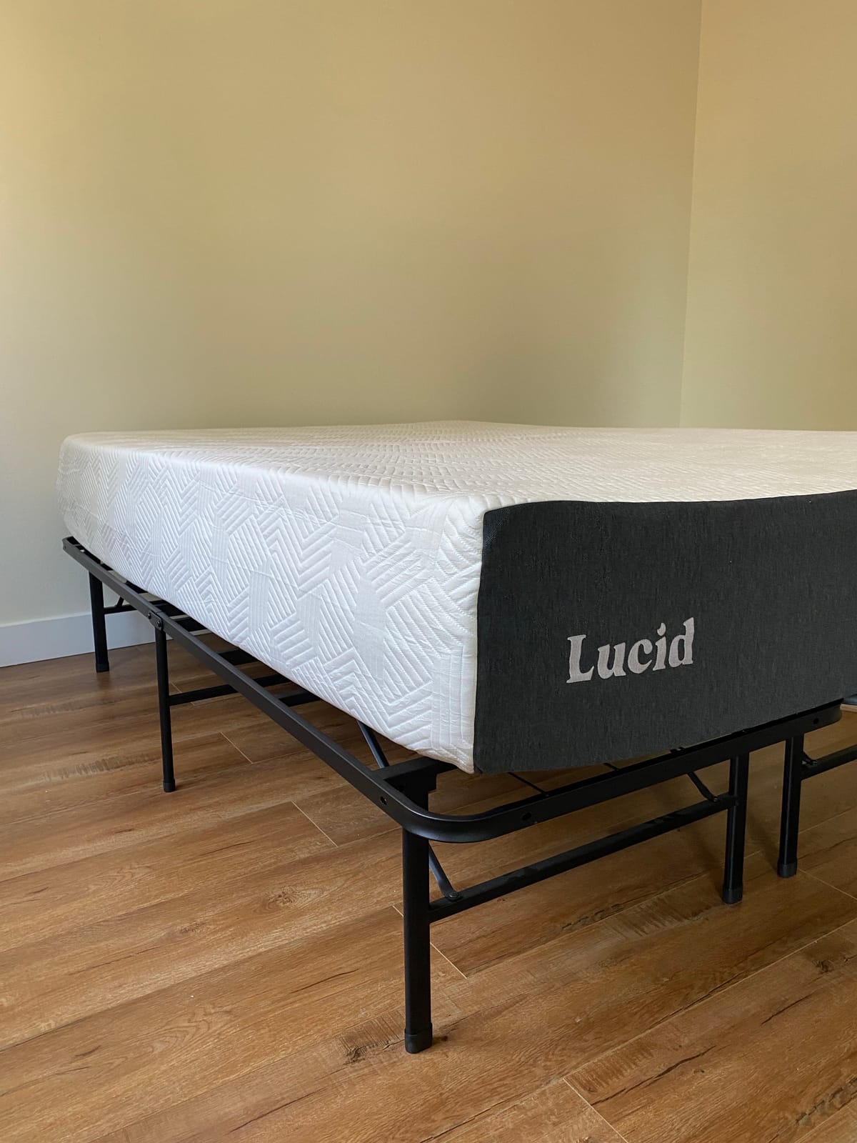 Lucid 8