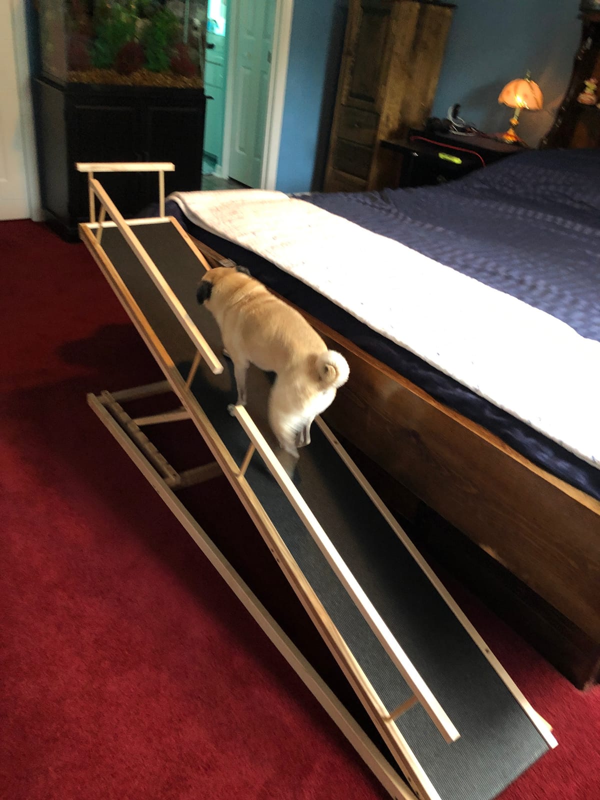 Dog Ramp for Bed, by DoggoRamps - Solid Hardwood Dog Ramp for High Beds (Adjustable up to 37