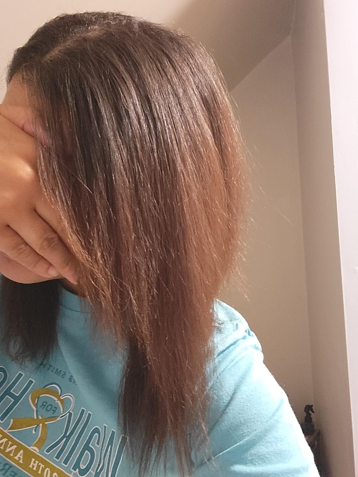 Le Vite Straightening Brush | Heated Hair Tool for Smoother, Frizz-Controlled Look | Dual-Voltage Hot Brush Straightener for Effortless Styling & Shine | Ceramic Standard Size (Blush) customer photo 1