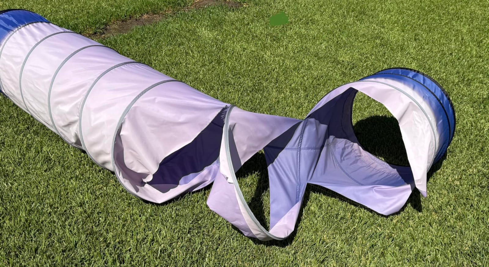 Better Sporting Dogs 10 Foot Dog Agility Tunnel | Includes Sandbags, Dog Agility Equipment, Dog Agility Training customer photo 1