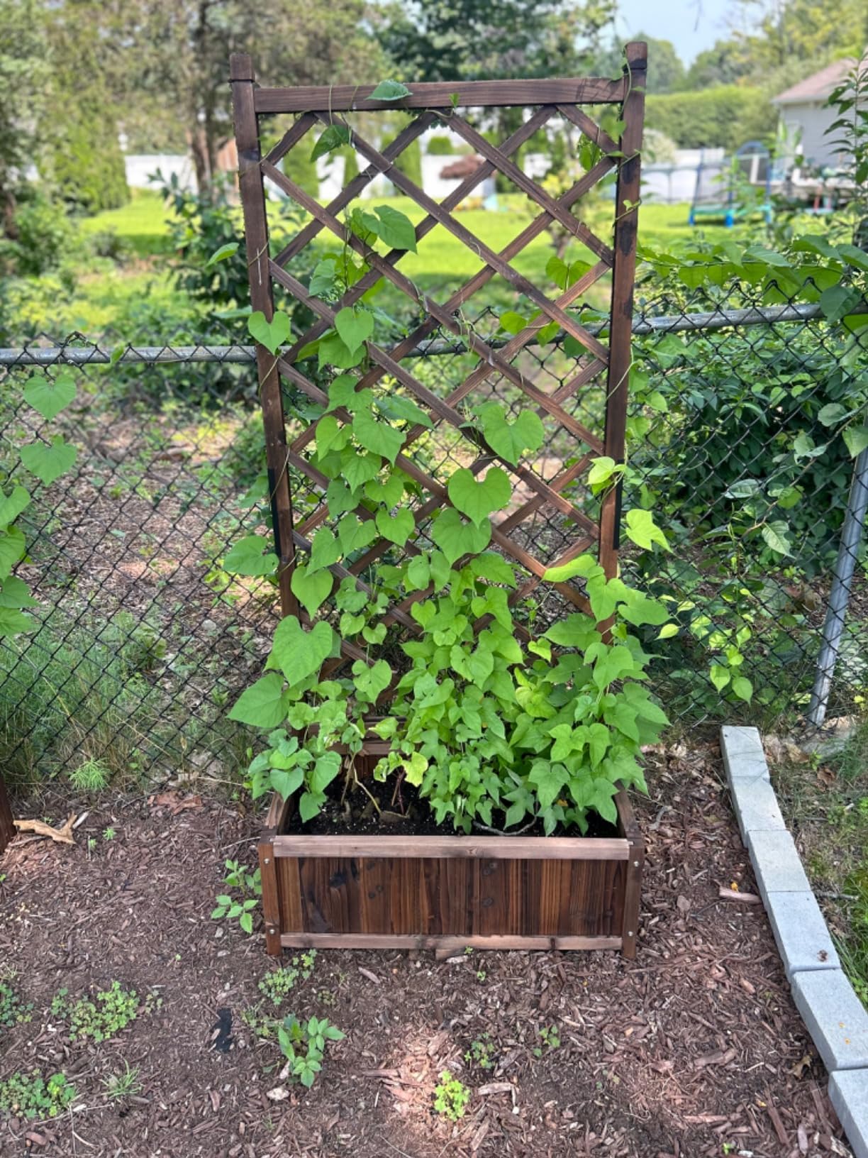 Anraja Raised Garden Bed with Trellis Wooden Flower Standing Planter Box Outdoor Wood Lattice Panels Privacy Screen for Climbing Plant Planting Patio Tomato Vegetable Herb Balcony Porch 67