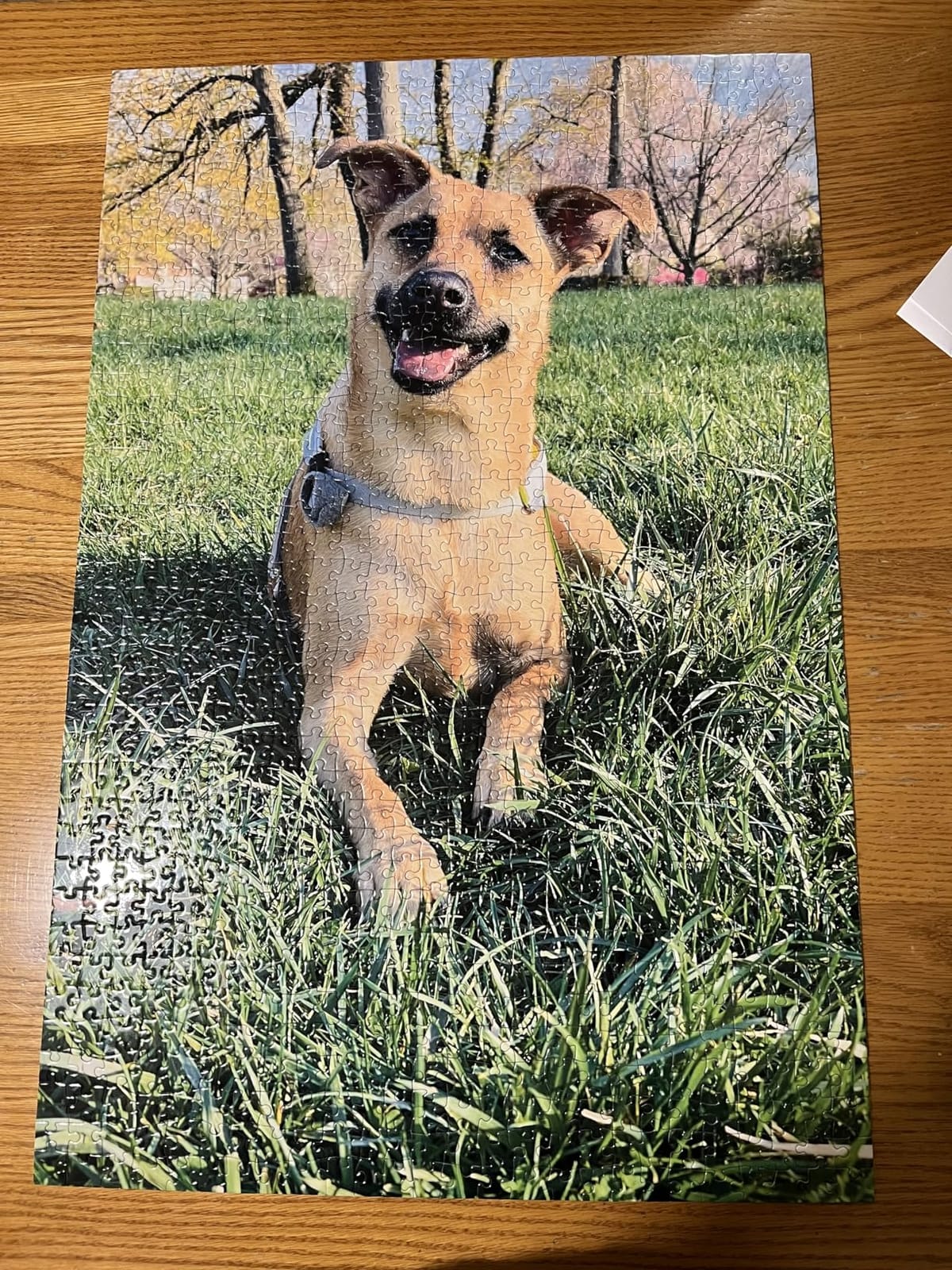 Photo Puzzle, Pet, Wedding, Family Reunion Puzzle | 500 Piece, Custom Jigsaw Puzzle for Adults (Vertical/Portrait) | 16