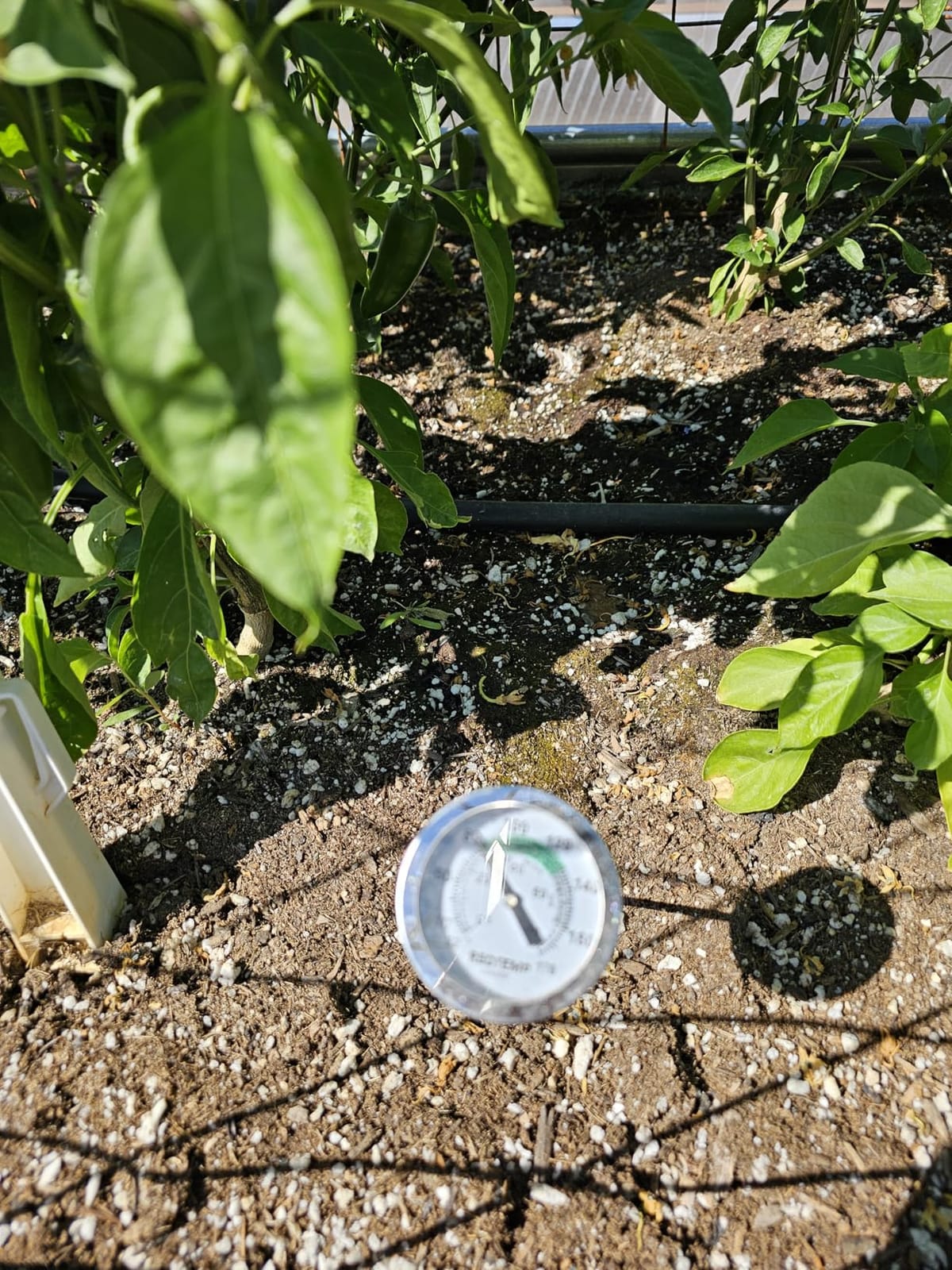 Reotemp K83B1 12 Inch Soil & Compost Thermometer with Digital Composting Guide, 32-178 Fahrenheit and Celsius customer photo 2