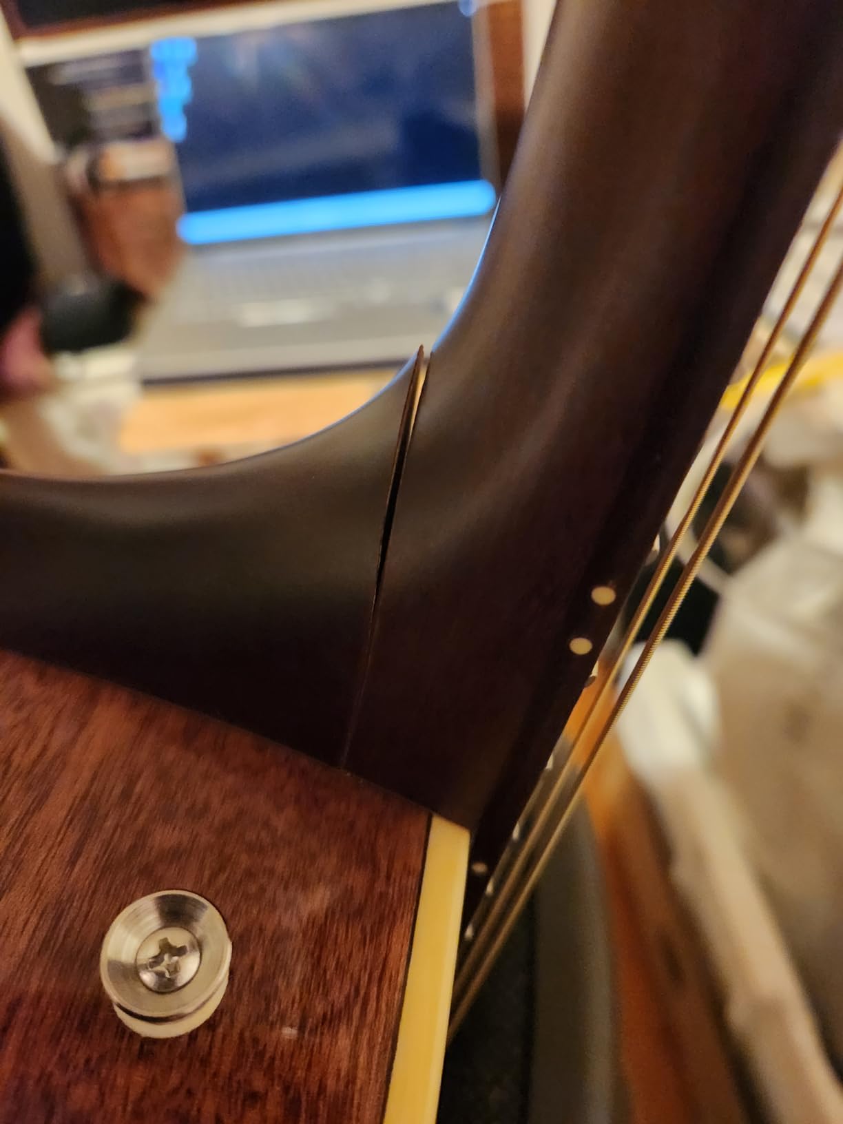 Fender Newporter Player Acoustic Guitar, Sunburst, Walnut Fingerboard customer photo 1