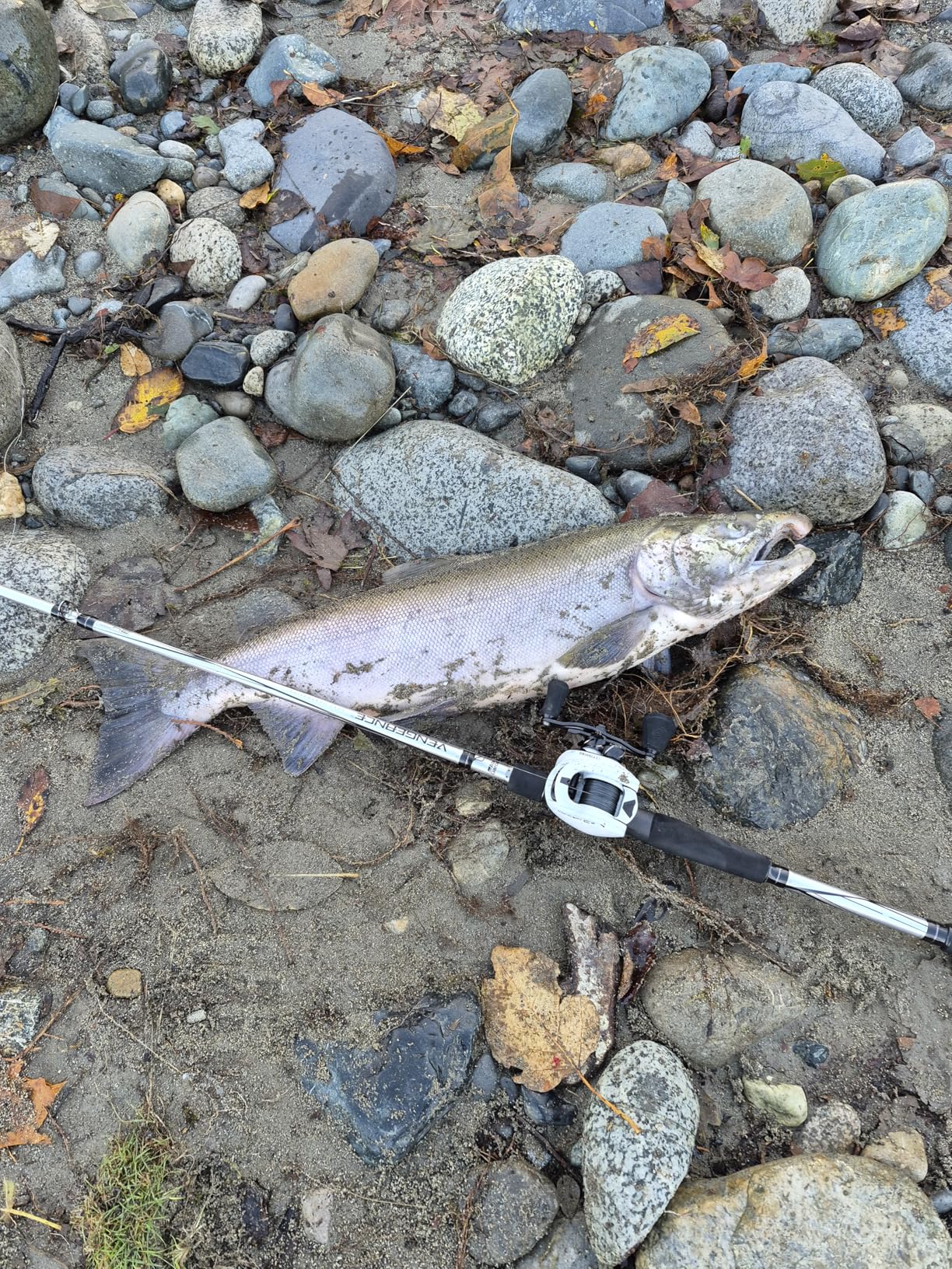 13 Fishing Concept C2 - Baitcast Reels customer photo 1