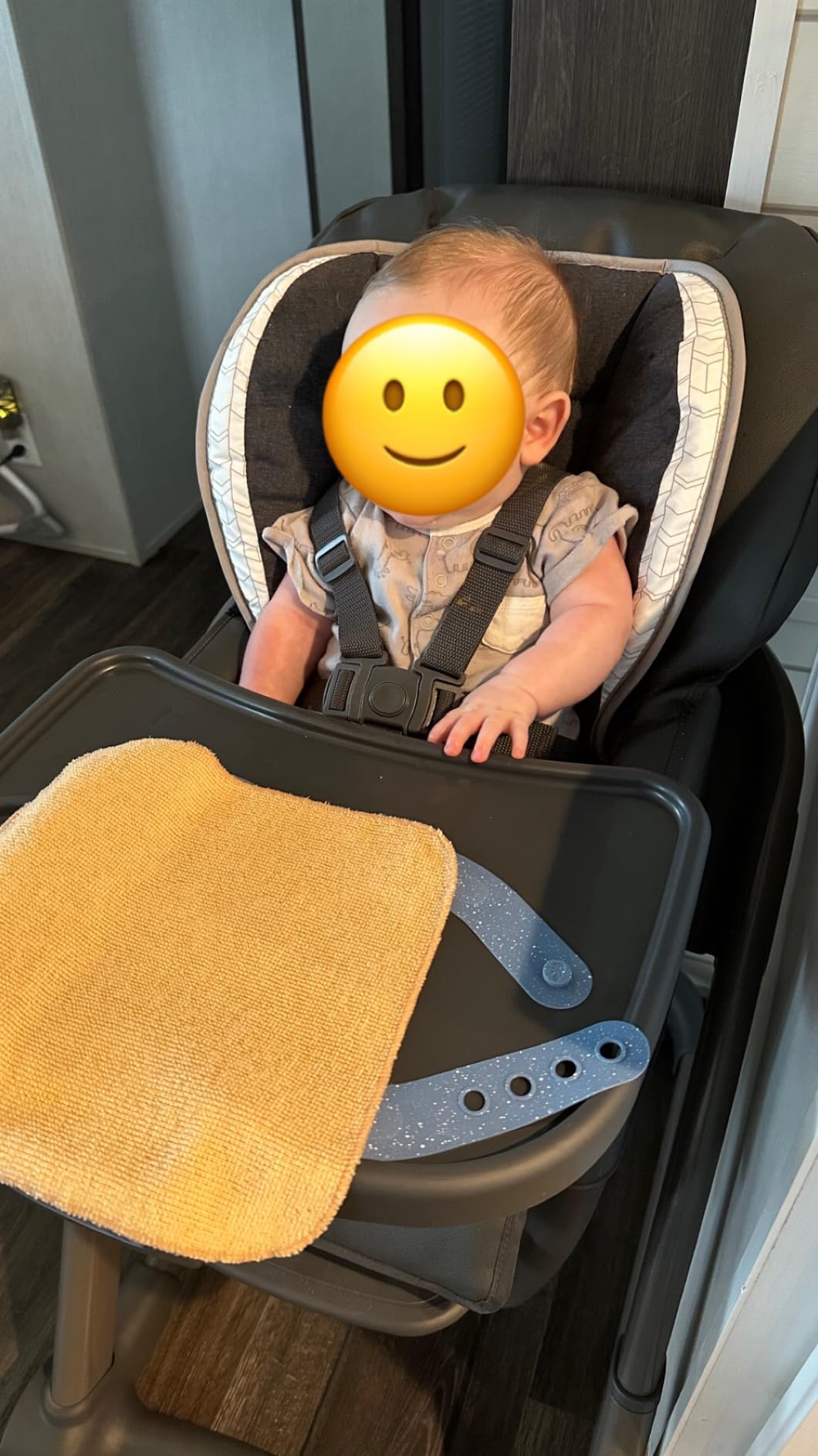 Graco Blossom 6 in 1 Convertible High Chair, Redmond customer photo 2