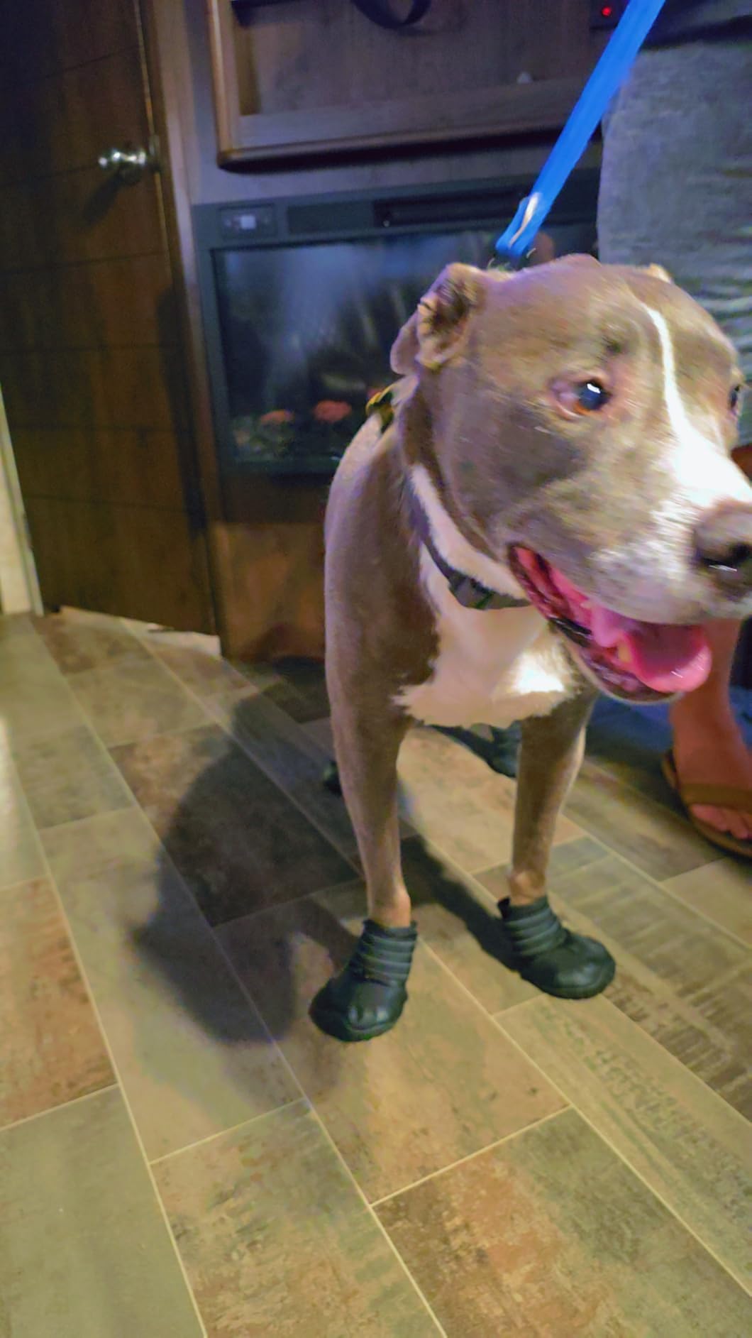 XSY&G Dog Shoes for Hot Pavement, Dog Snow Booties for Medium to Large Dogs | Dog Boots & Paw Protectors Waterproof&Anti-Slip with Reflective for Hardfloors,Walking,Rugged Skid-Resistant Sole Black Size7 customer photo 1