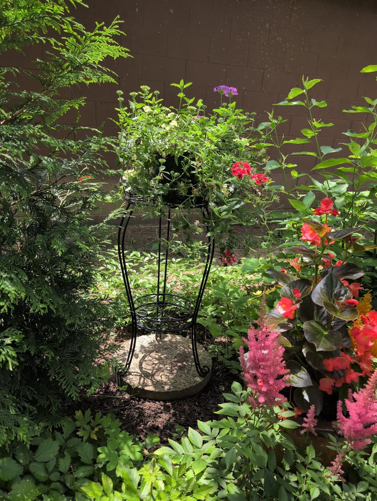 TREEZITEK 11.8 inches Diameter Tall Metal Plant Stand for Indoor or Outdoor, Heavy Duty Flower Pot Stand Rack Holds Big Heavy Plants, Black (18.9 INCHES TALL) customer photo 2