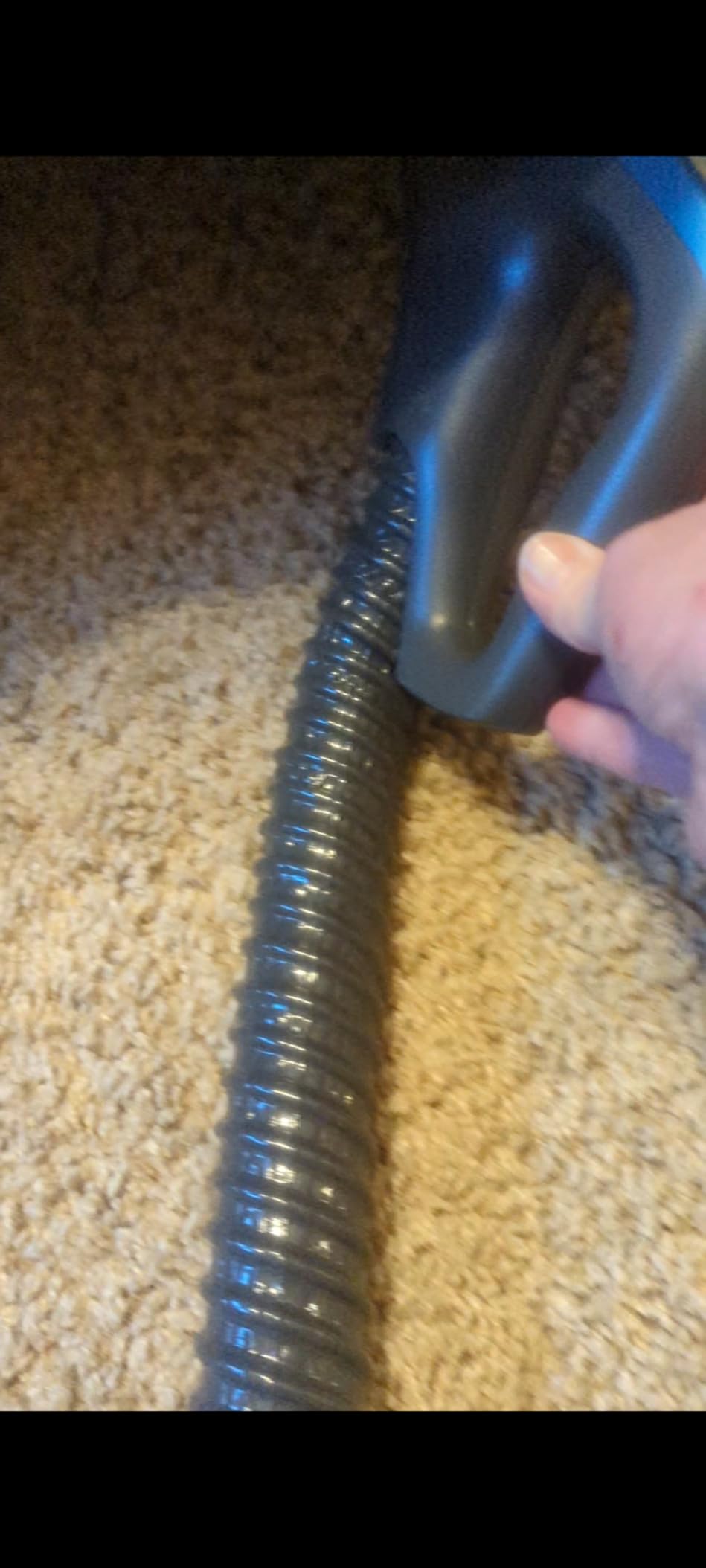 Kenmore Elite Ultra Plush 700 Series Bagged Canister Vacuum | 2-Motor System, Powerful Suction, HEPA Filter, Pet PowerMate for Pet Hair, Thick Carpet, Hard Floors, Stairs and More - 81714 customer photo 1