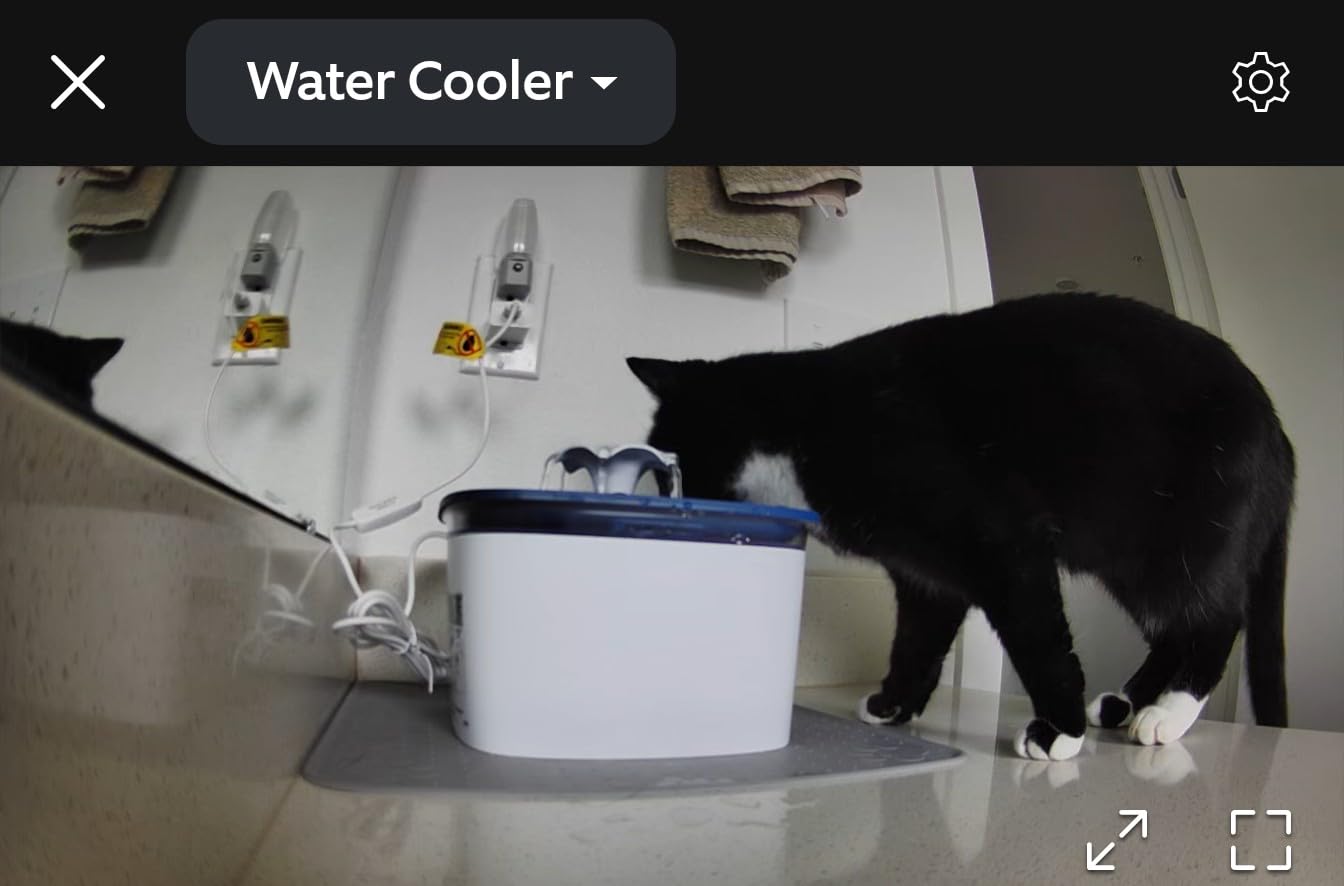 Veken Innovation Award Winner 95oz/2.8L Cat Water Fountain, Automatic Pet Fountain Dog Water Dispenser with Replacement Filters & Silicone Mat for Cats, Dogs (Blue, Plastic) customer photo 1